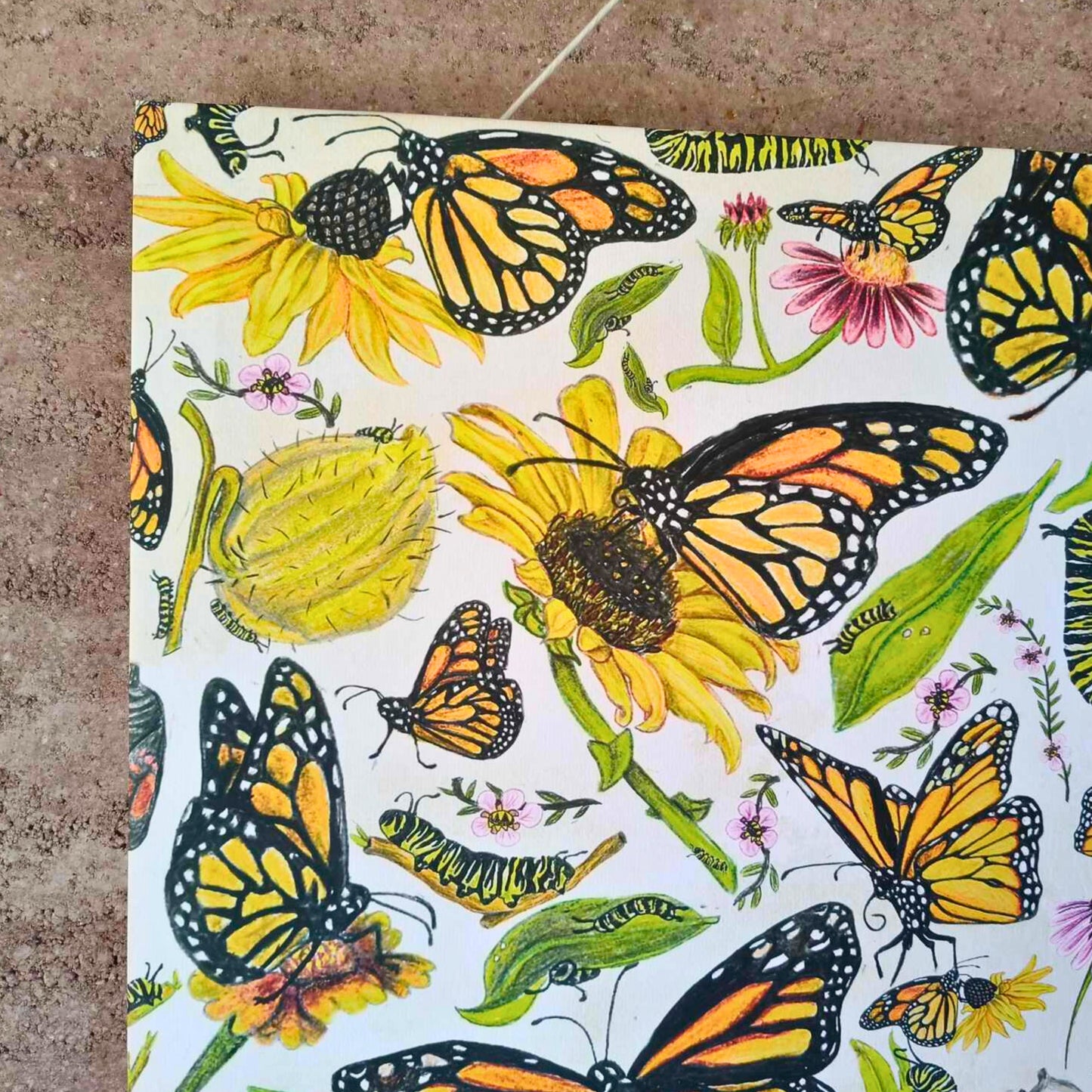 Monarch Butterflies Canvas Wall Art – Hand-Drawn in NZ by Milly (120 x 80 cm)