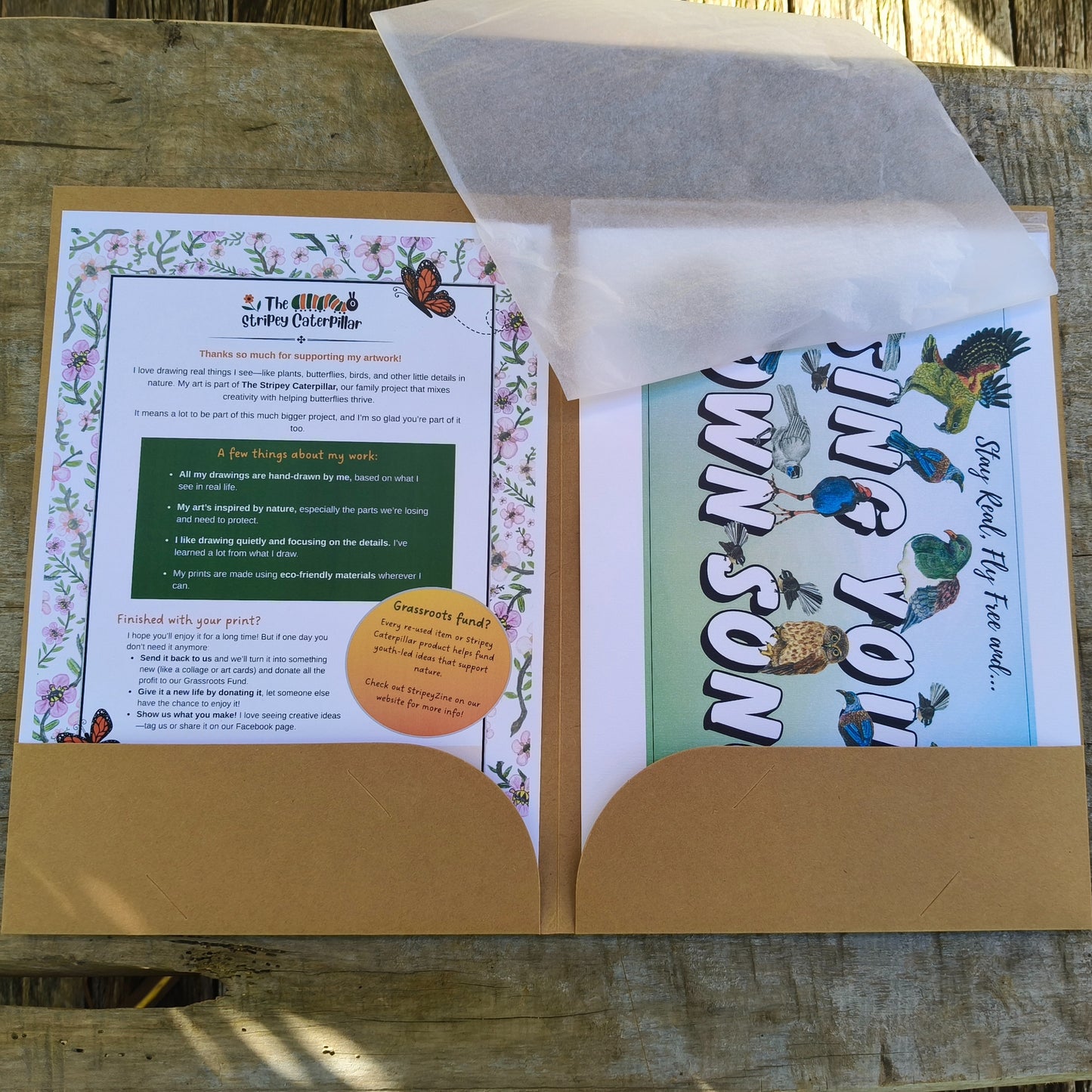 Hand-drawn NZ bird art print by Milly – featuring a Kiwi / Morepork / native bird heart