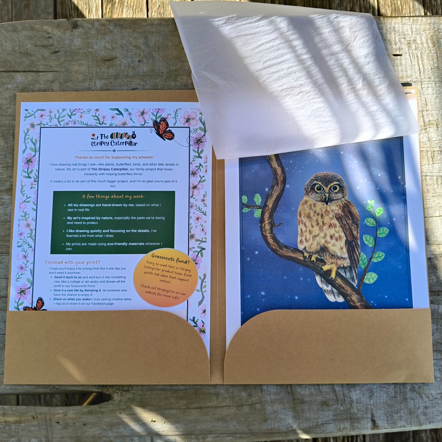 Hand-drawn NZ bird art print by Milly – featuring a Morepork