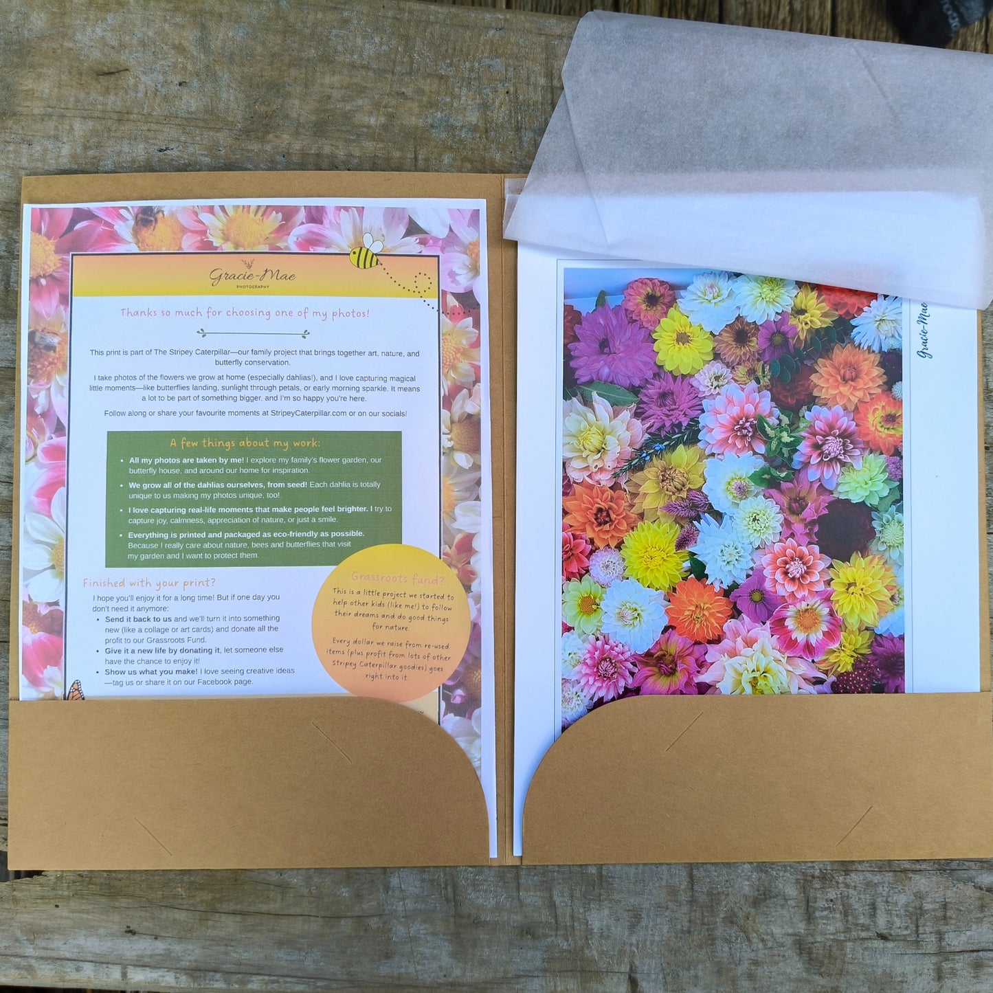 Mixed Dahlia Delights from Gracie-Mae Photography.