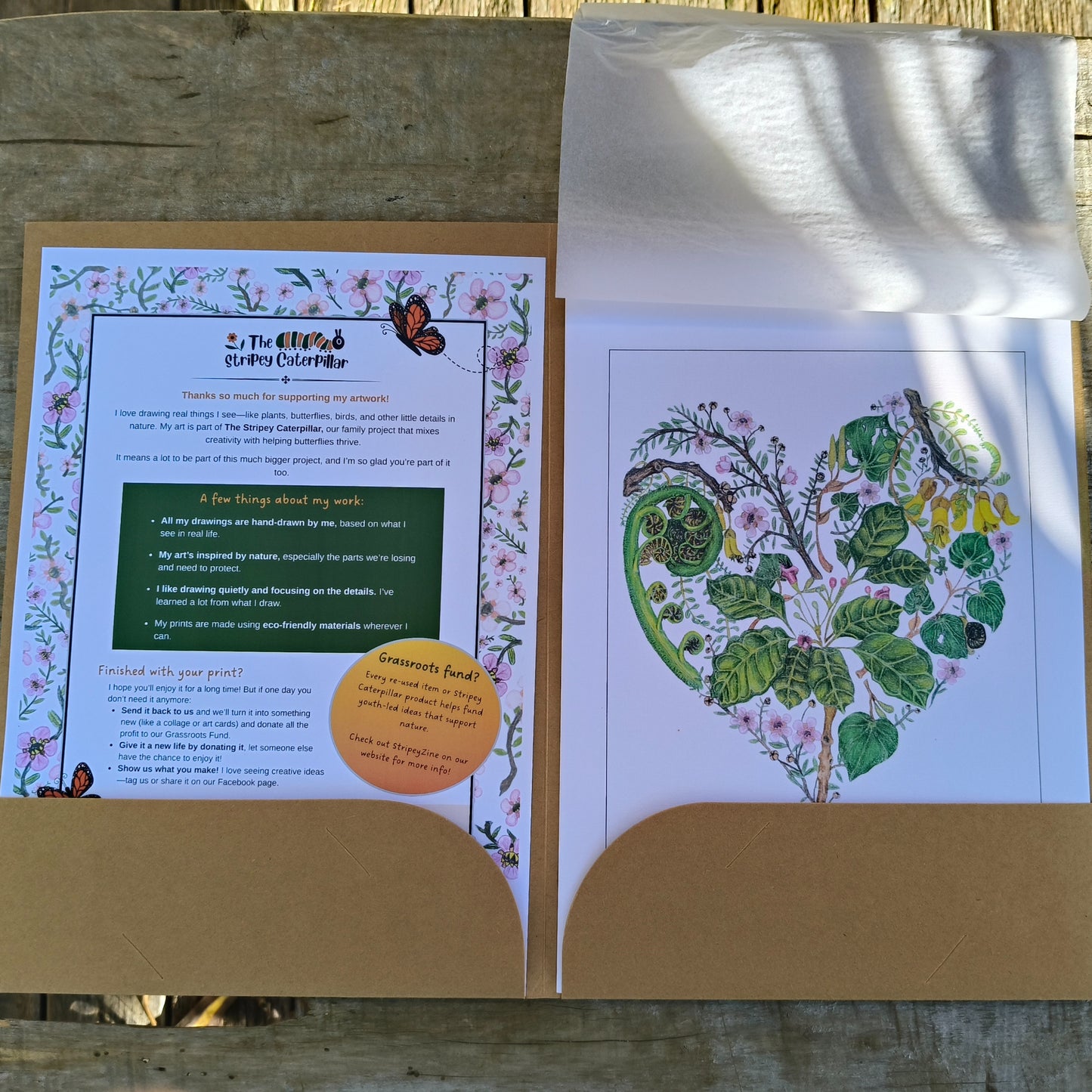 NZ native plant art print by Milly – hand-drawn in Aotearoa