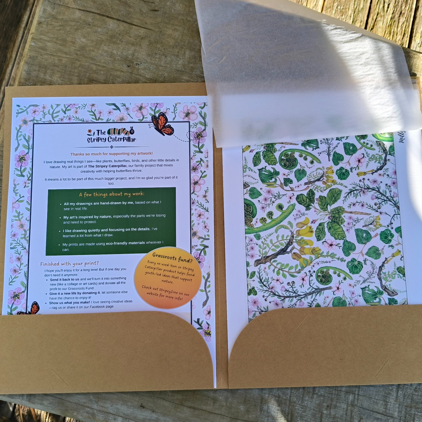 NZ native plant art print by Milly – hand-drawn in Aotearoa