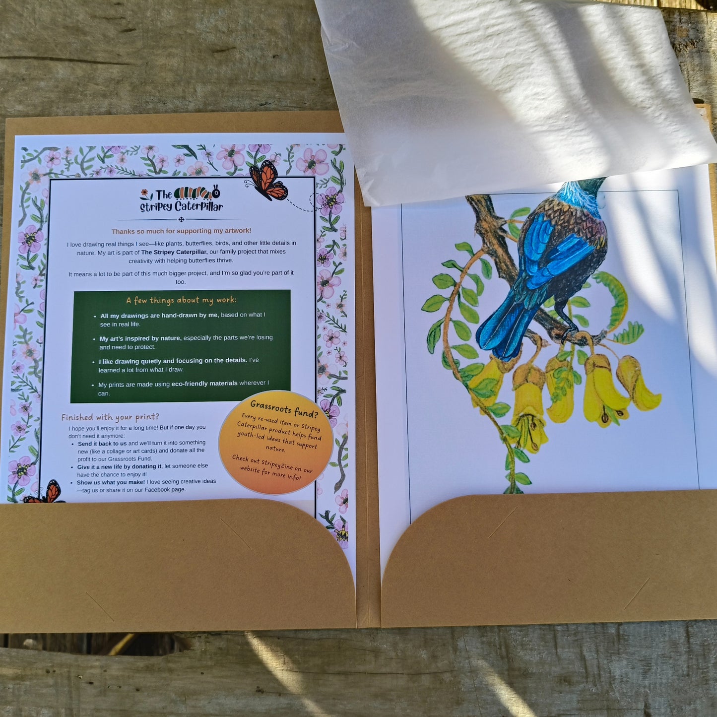 NZ native plant art print by Milly – hand-drawn in Aotearoa