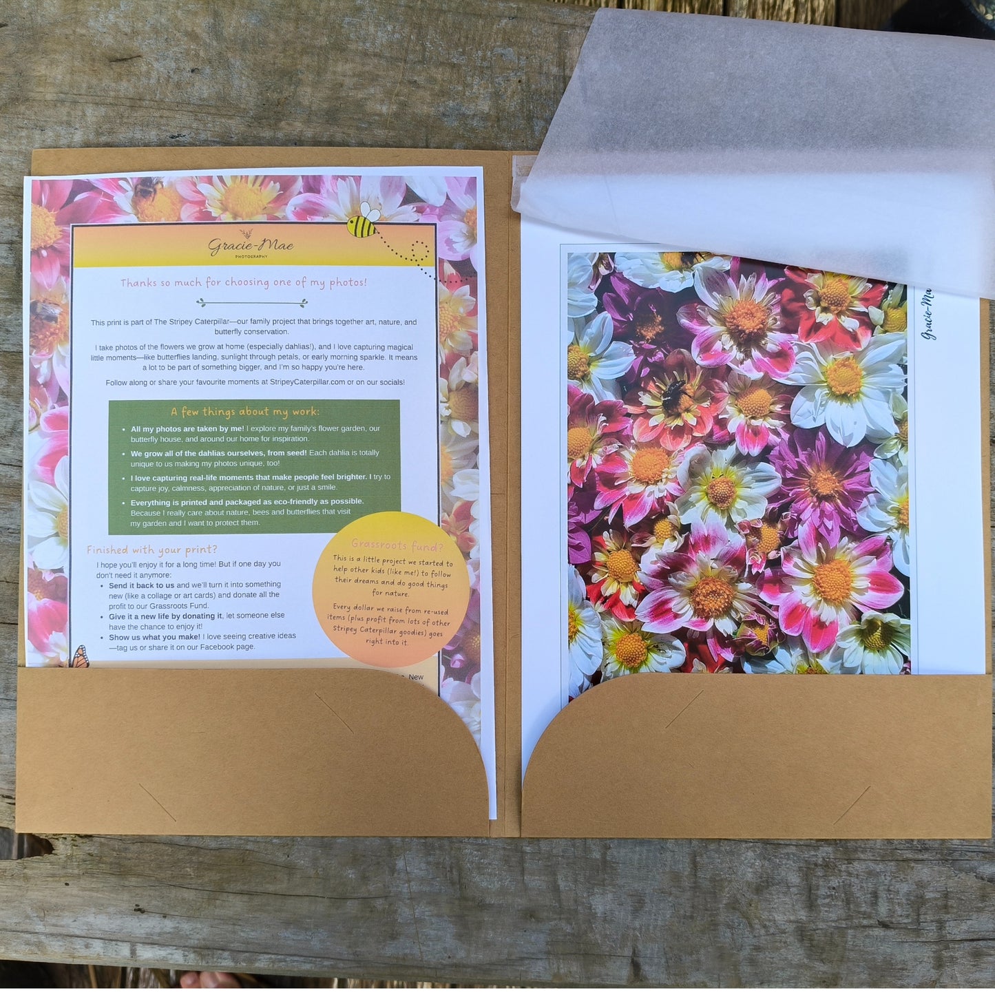 Collerette Dahlia flatlay photo by Gracie-Mae Photography.