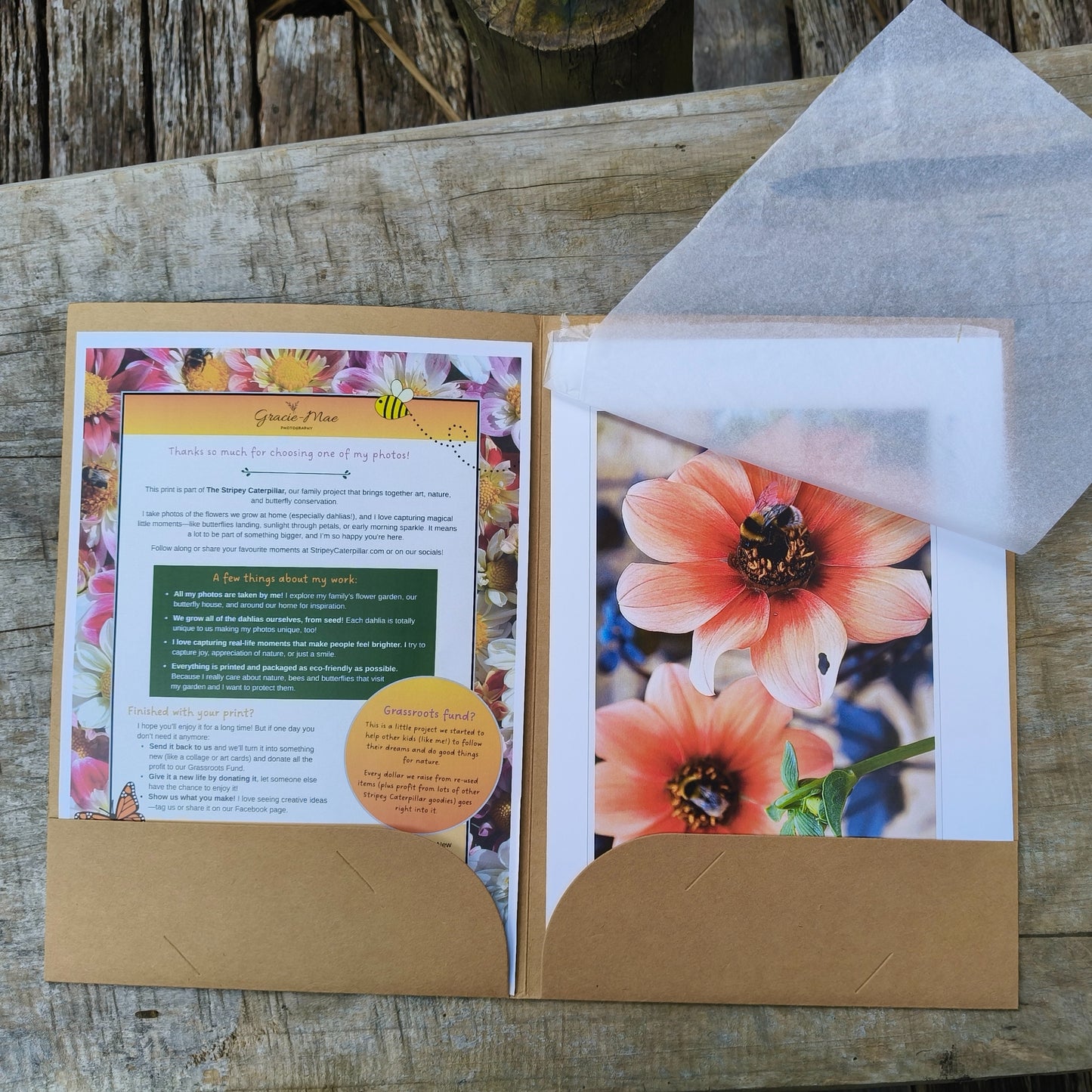 Orange open centered dahlias with bumbebees art print by Gracie-Mae – available in A4, A3, A2