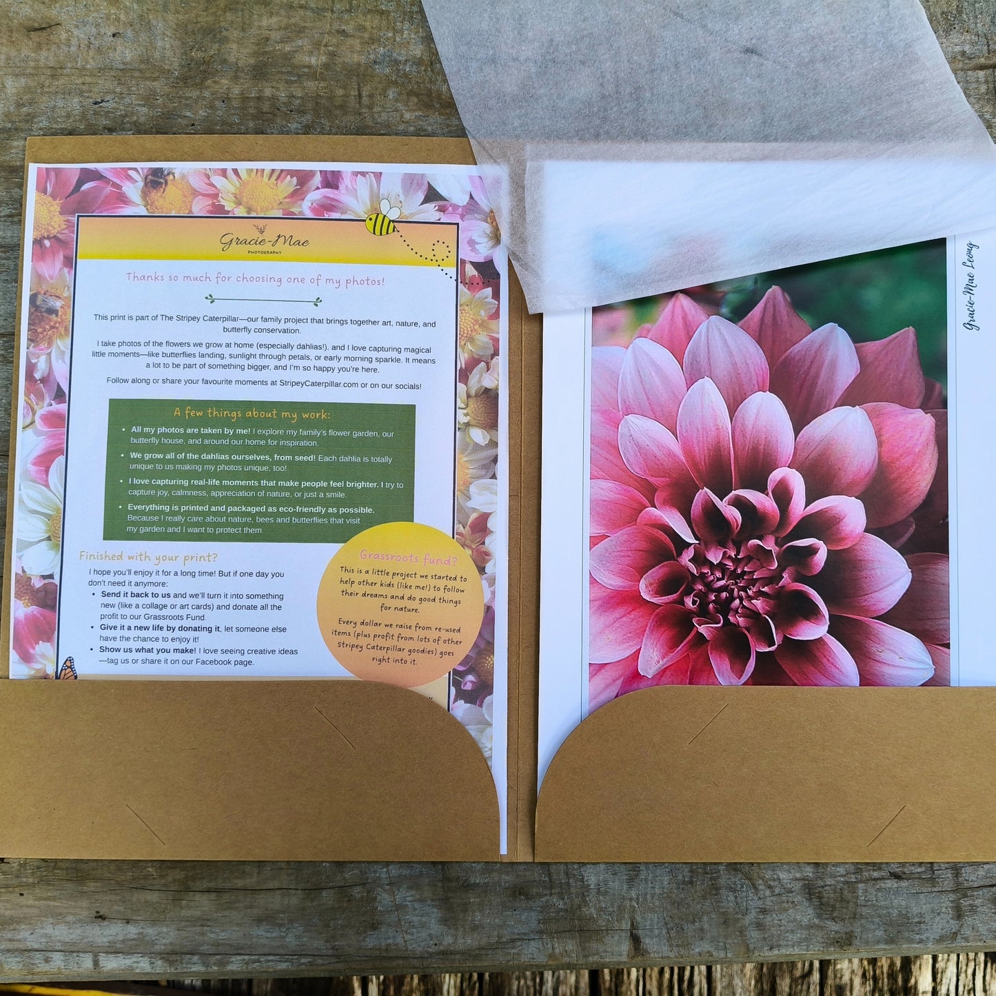 Pink double dahlia close-up art print by Gracie-Mae – available in A4, A3, A2