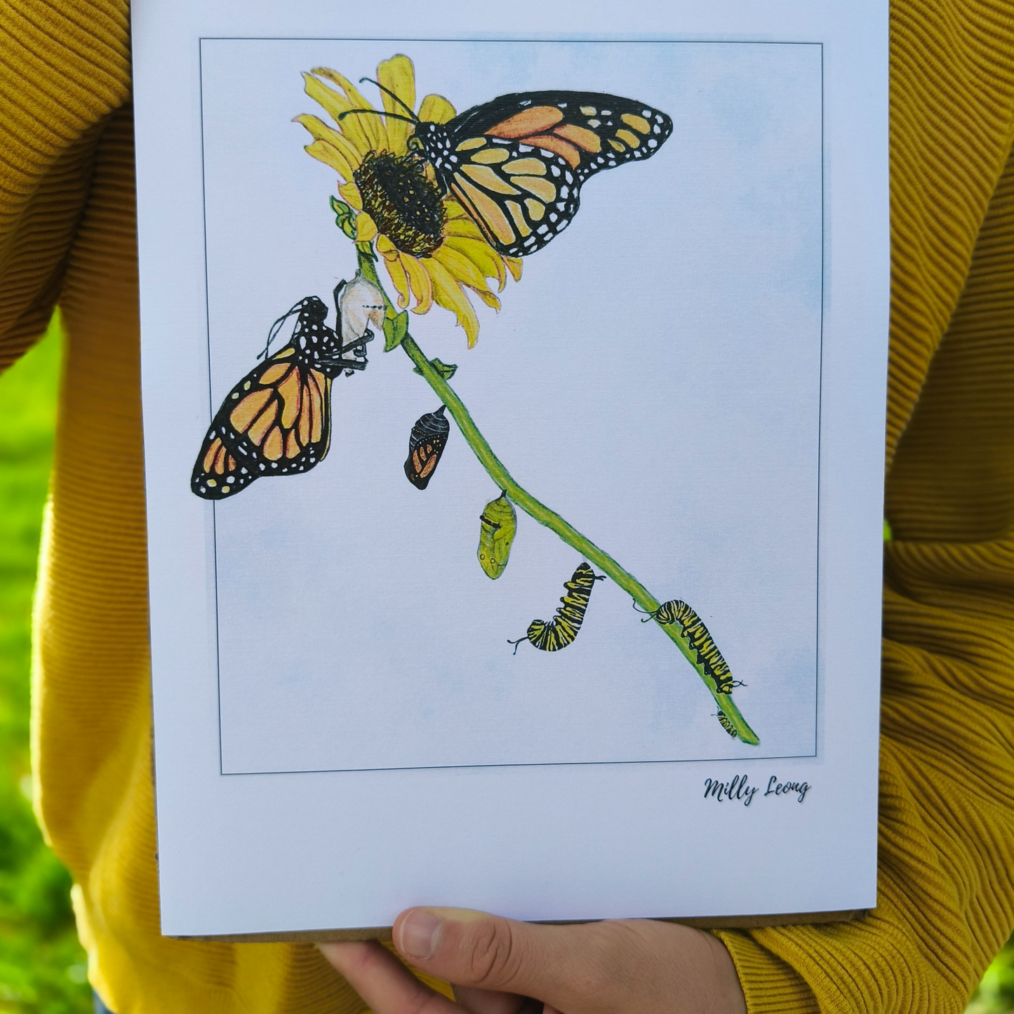 Illustration of butterflies and caterpillars on a sunflower held by a person in a yellow sweater.