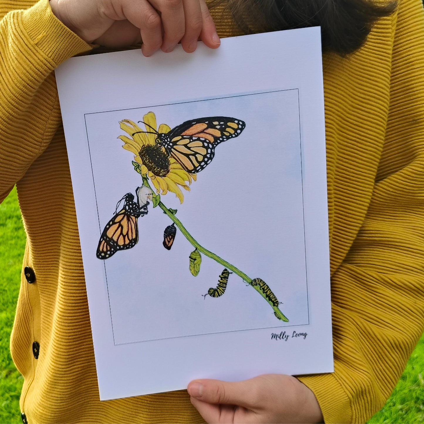 Hand-drawn butterfly art print by Milly – available in A4 and A3