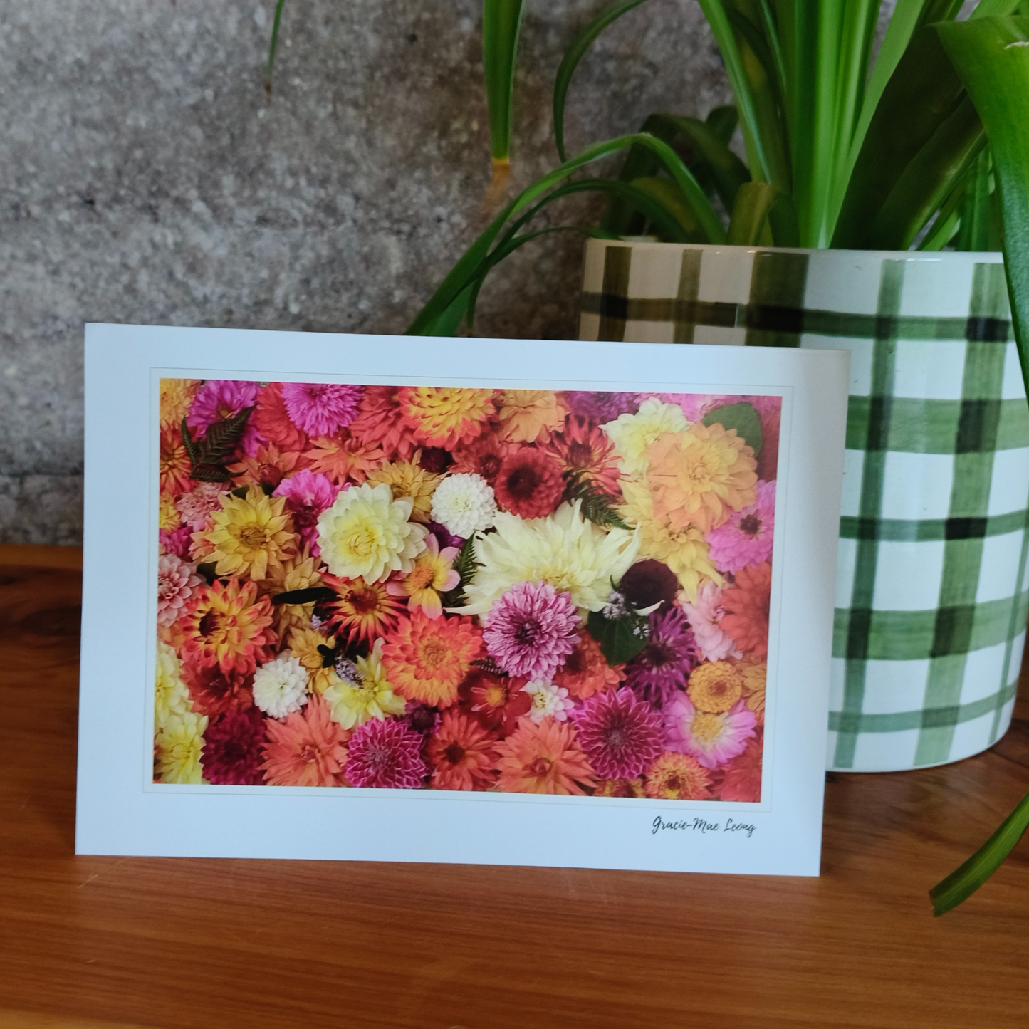 Dahlia Greeting Card Set – 5 Designs by Gracie-Mae