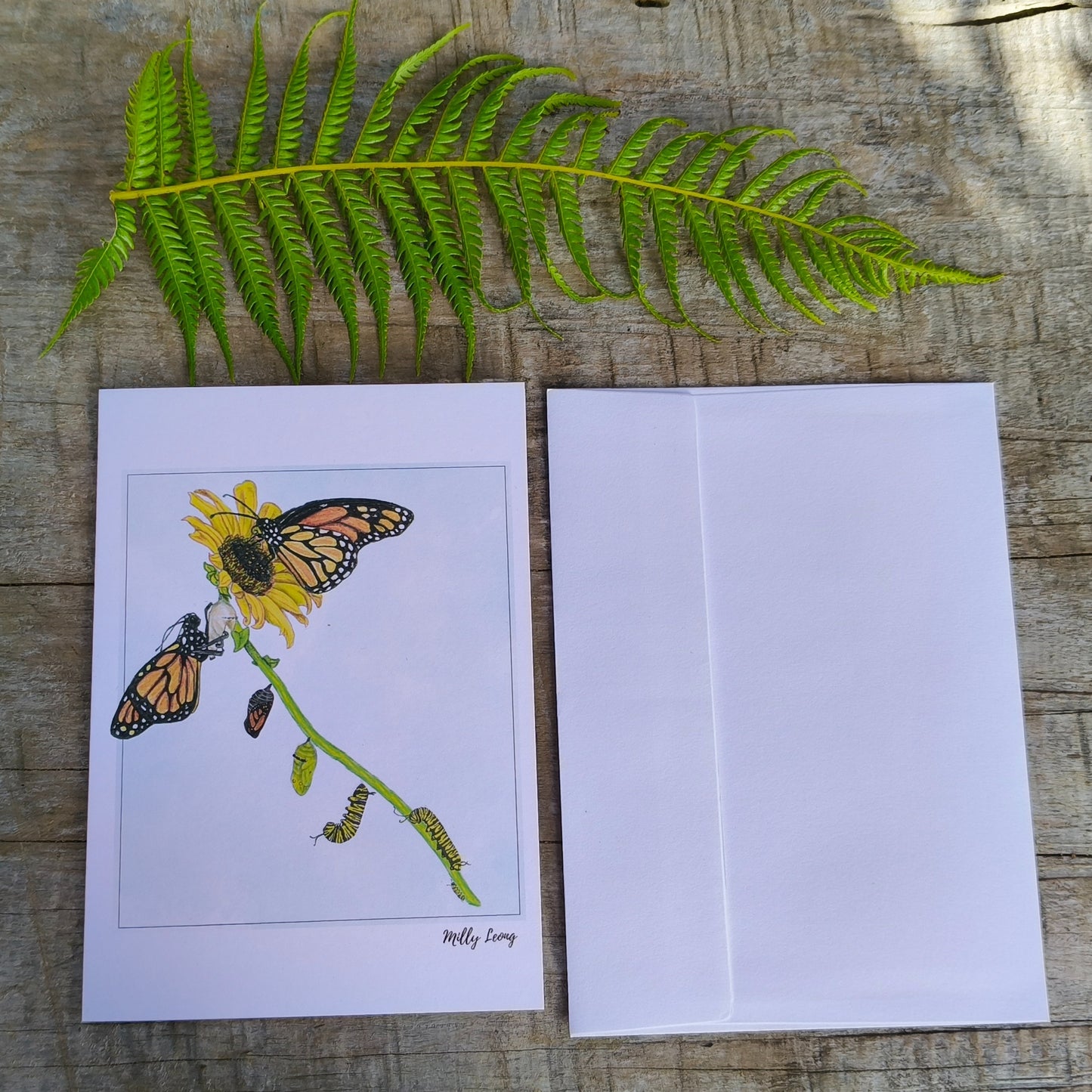 Hand-drawn butterfly life cycle greeting card by Milly – blank inside