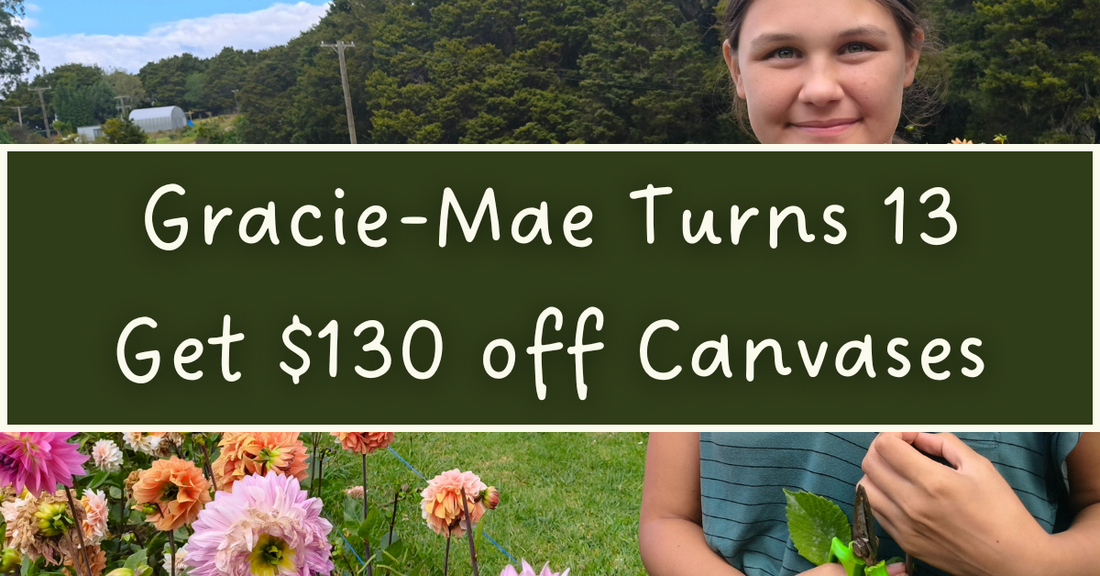 I Turned 13 Today – And I’m Celebrating With a Big Canvas Sale and Even Bigger Dreams