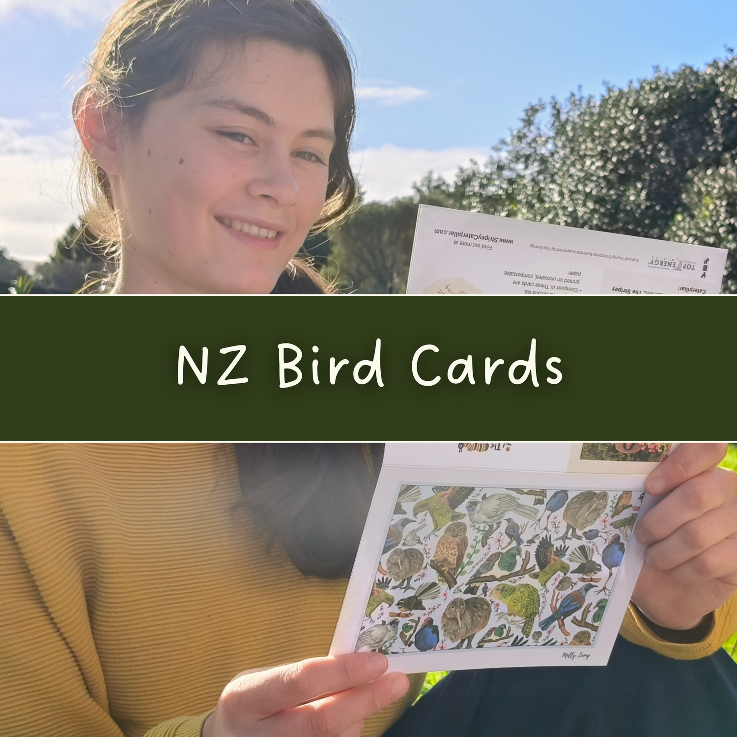 NZ Bird Greeting Cards