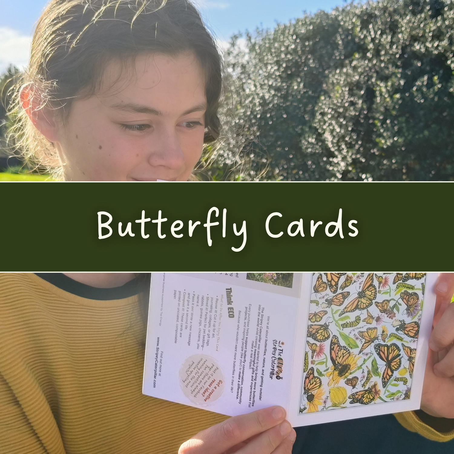 Butterfly Greeting Cards