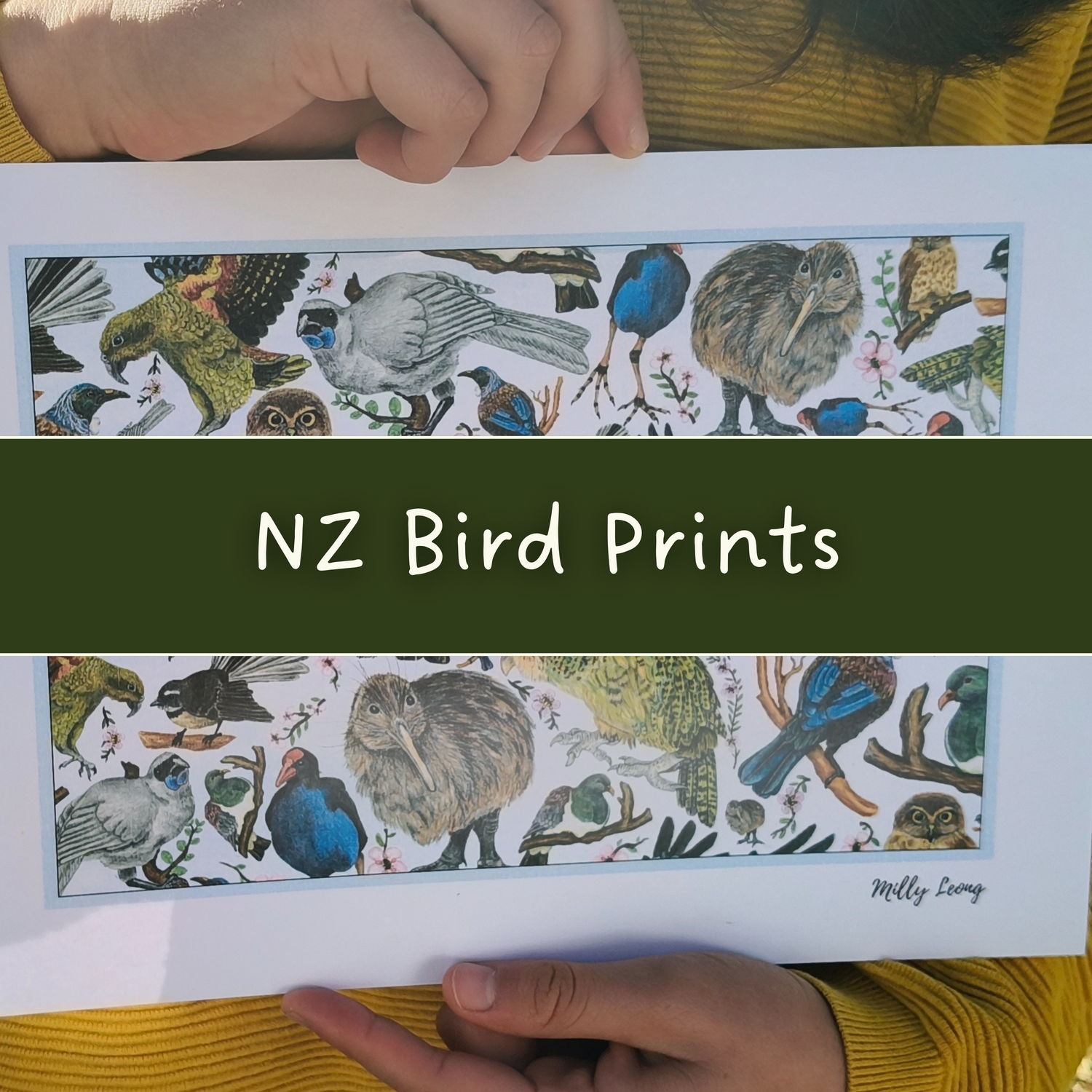 NZ Bird Art Prints