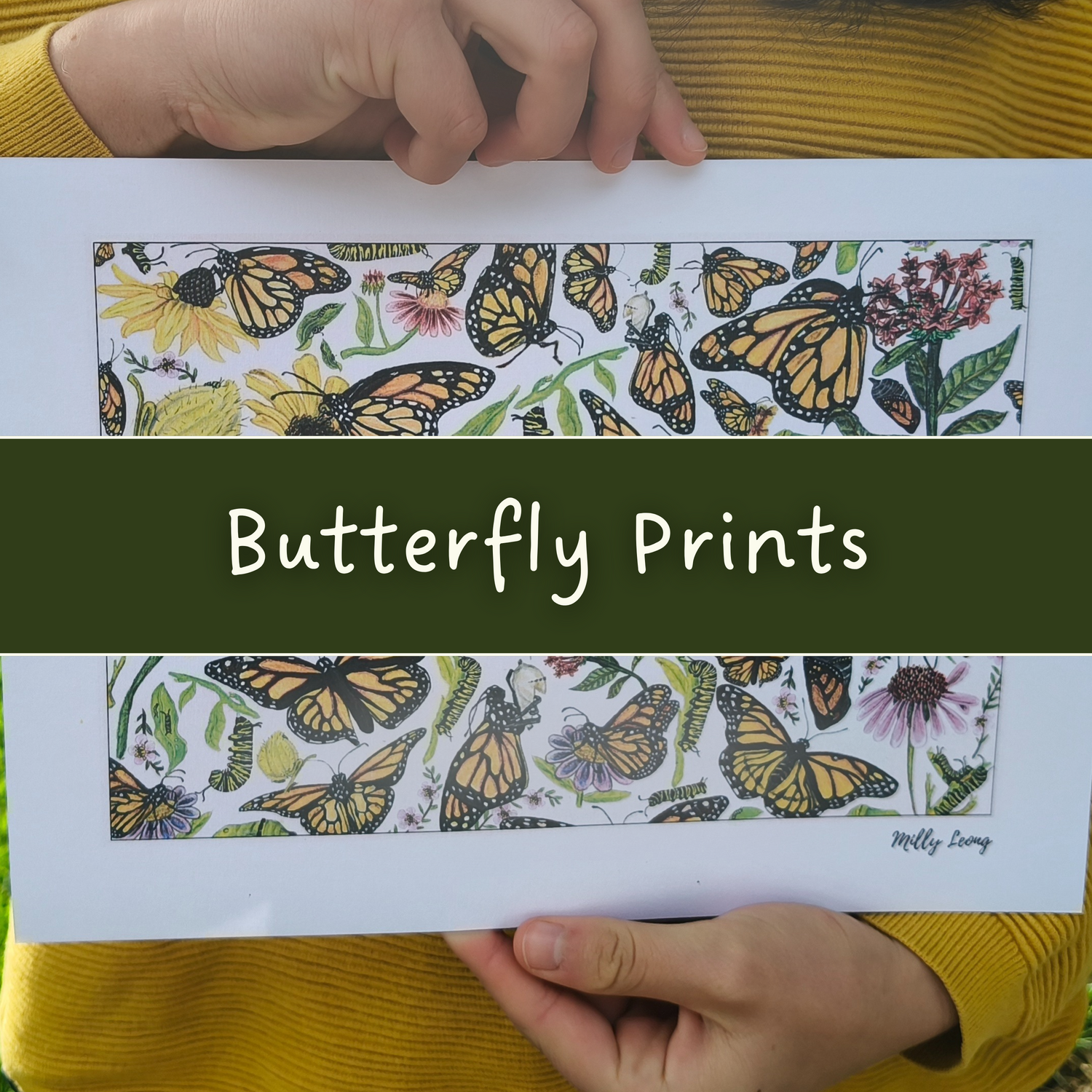 Butterfly Art Prints