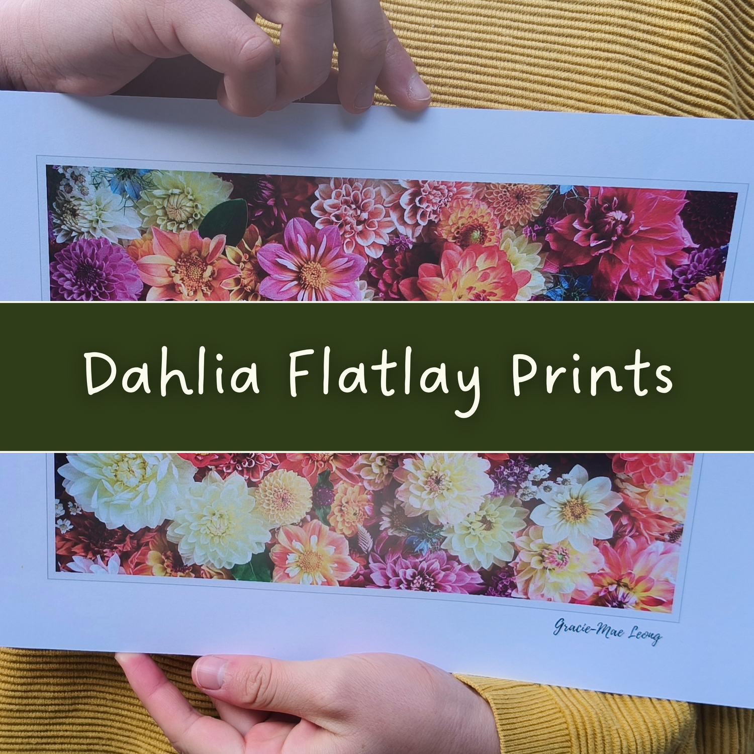 Dahlia Flatlay Art Prints
