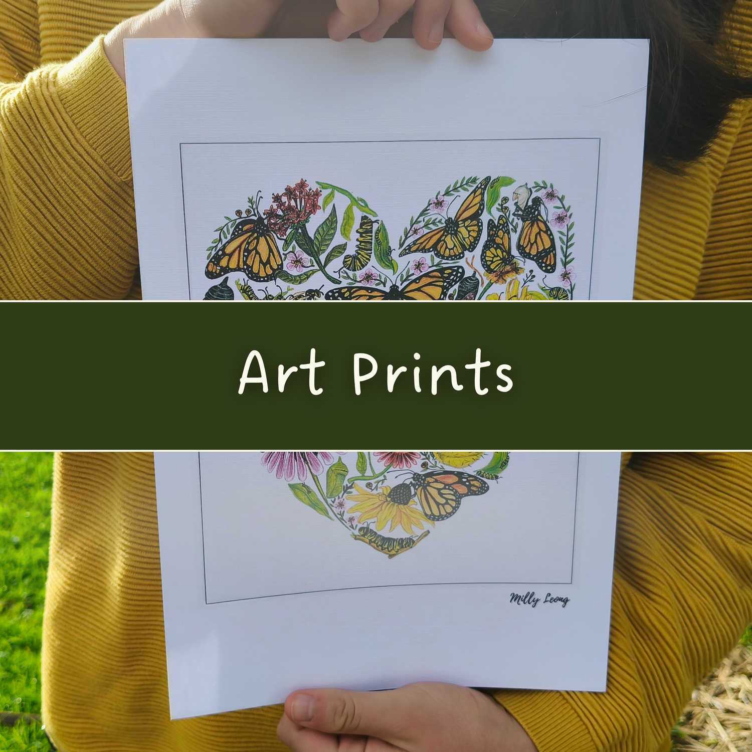 Butterfly Art Prints