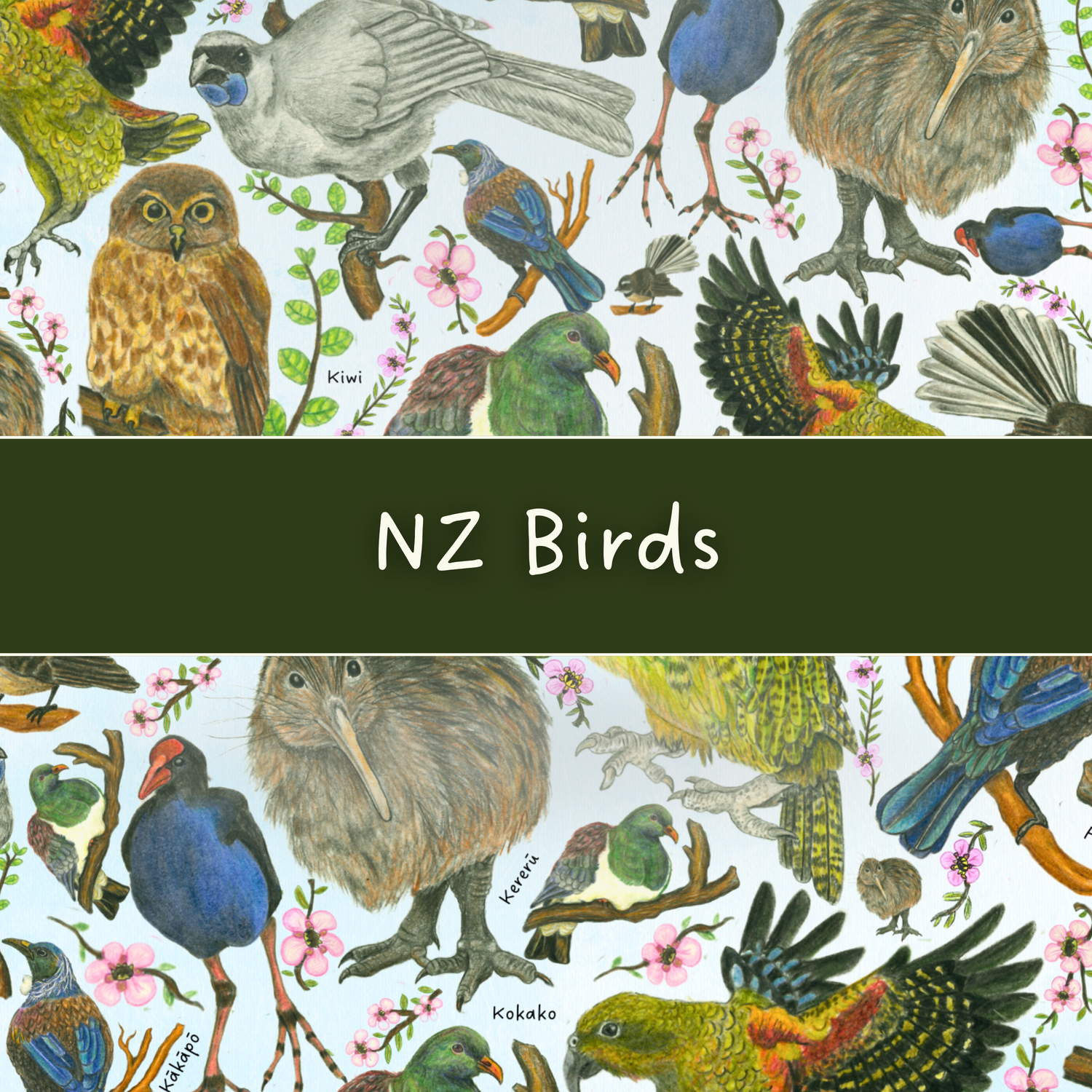 NZ native bird art and gifts by Milly
