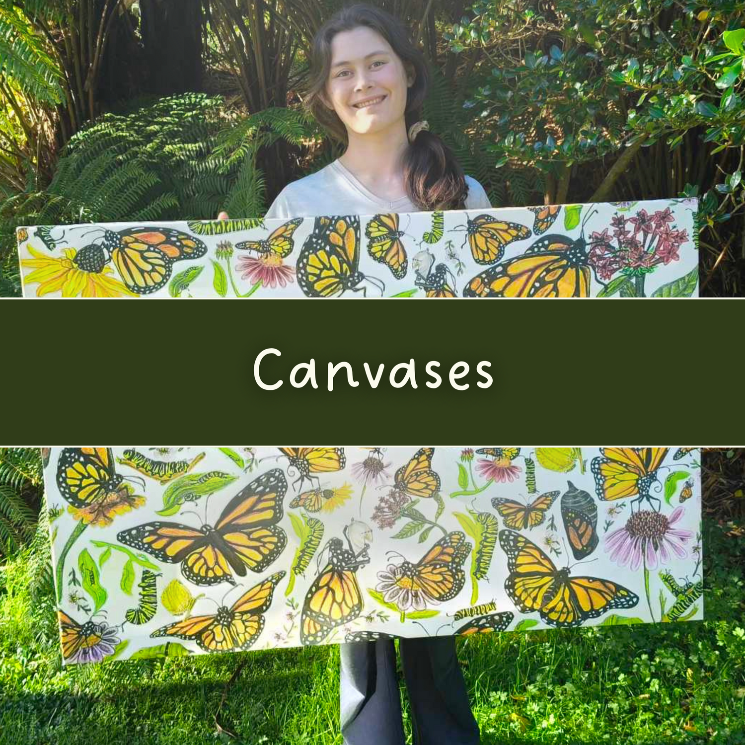 Butterfly Canvases