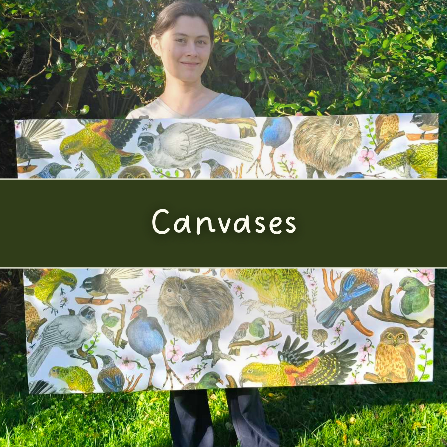 NZ Bird Canvases