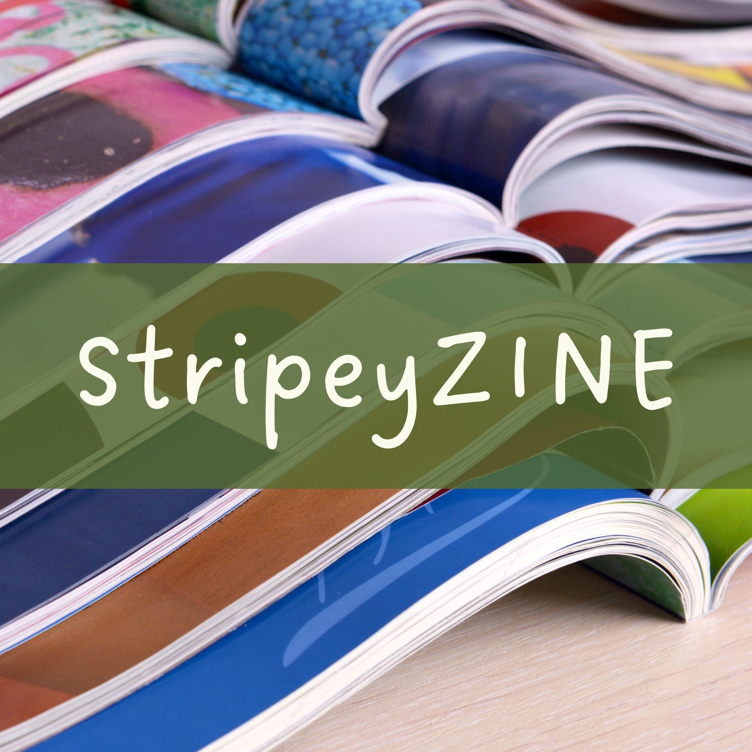 StripeyZINE – a youth-created nature magazine by The Stripey Caterpillar