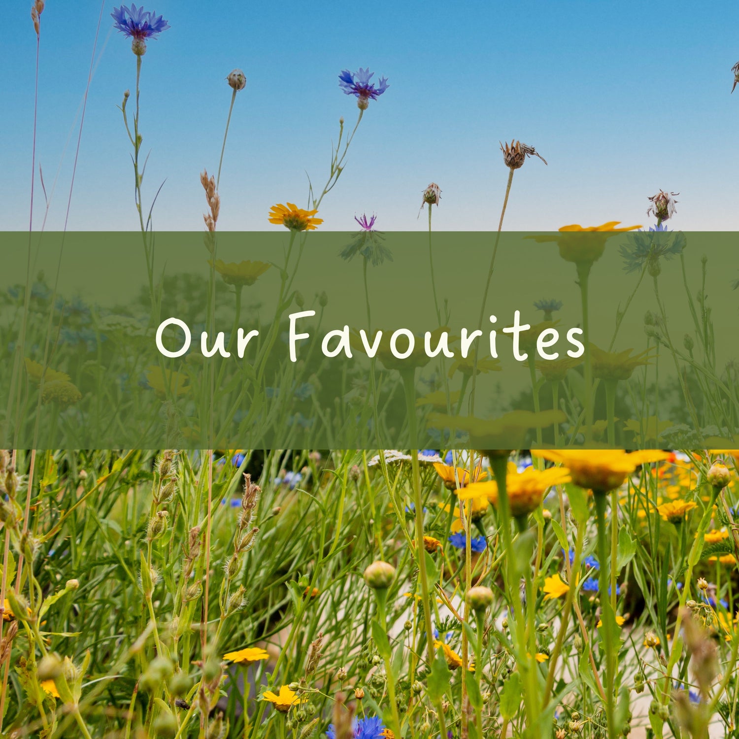 Our Favourites
