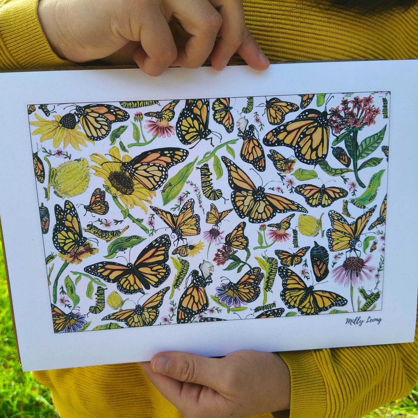 Hand-drawn butterfly art print by Milly – available in A4 and A3