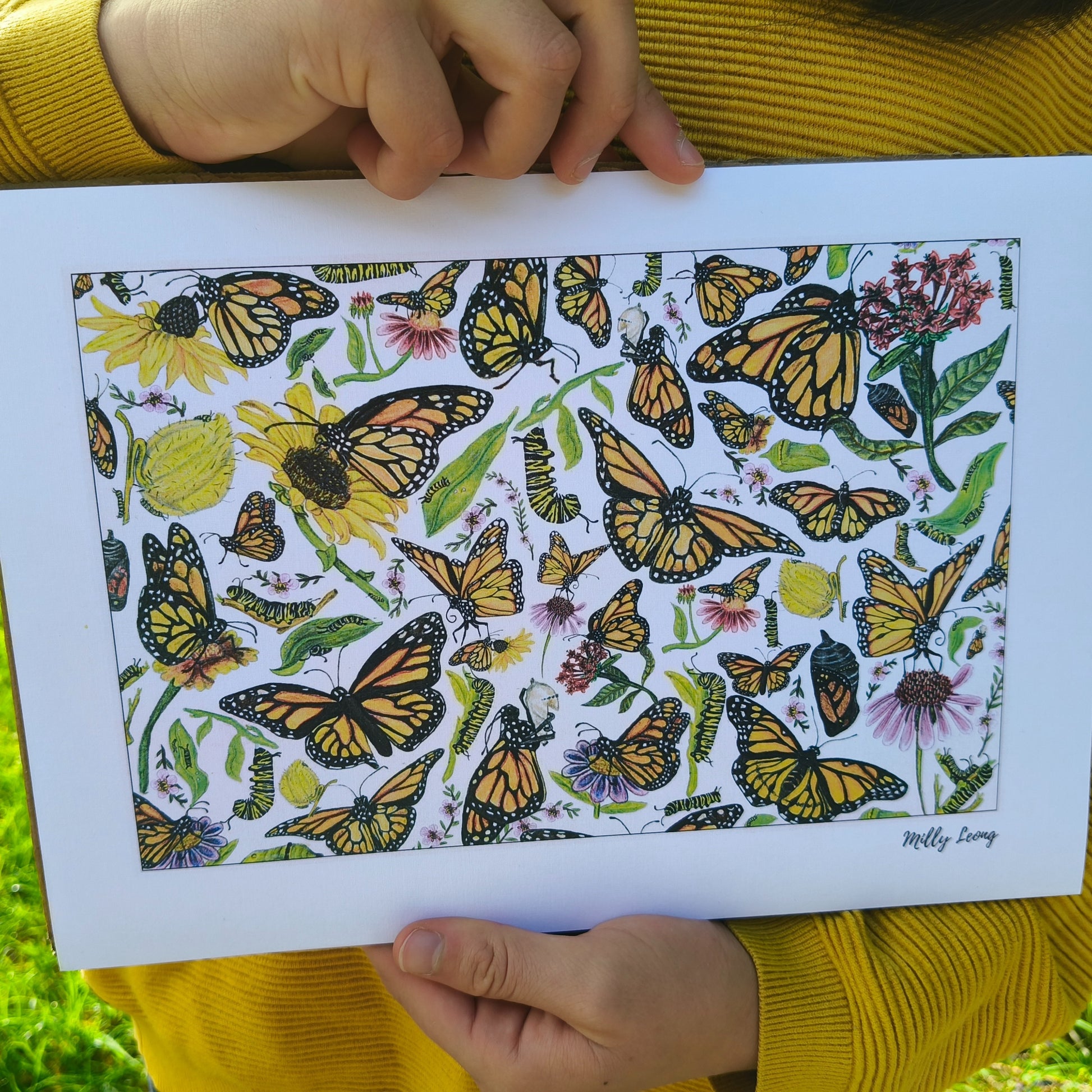 Hand-drawn butterfly art print by Milly – available in A4 and A3