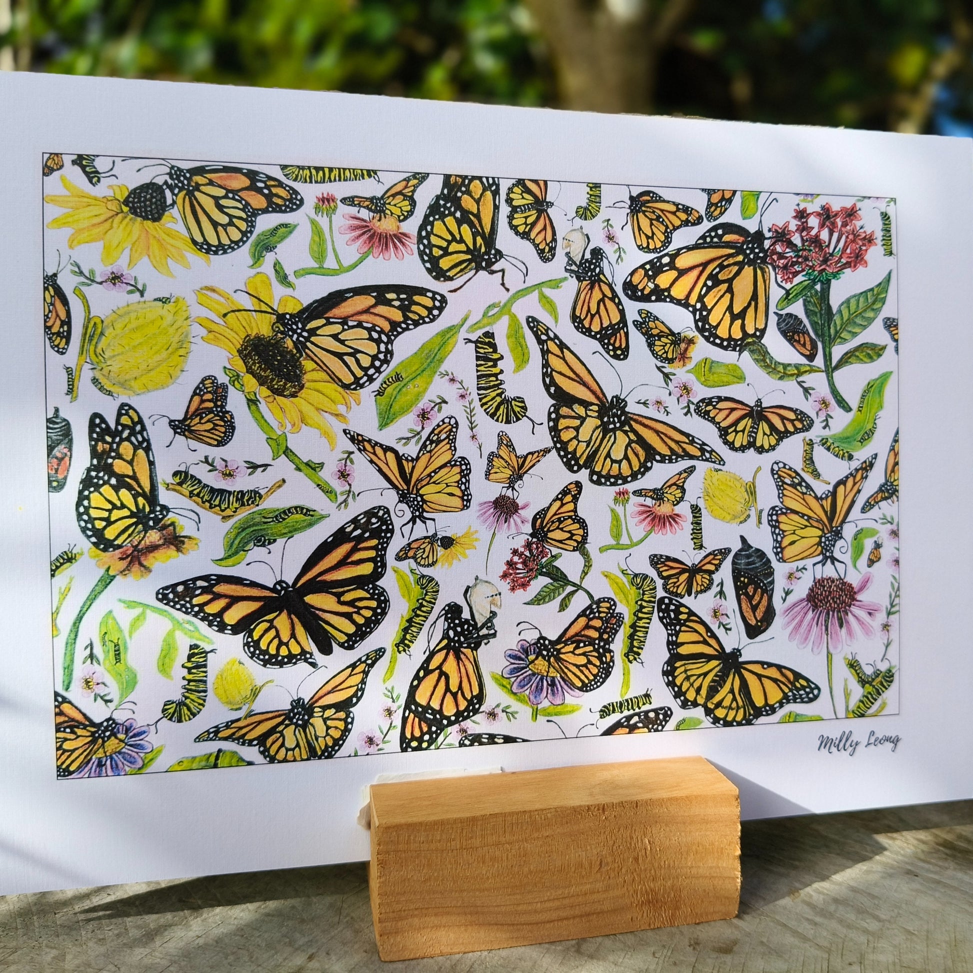 Hand-drawn butterfly art print by Milly – available in A, A3 and A2
