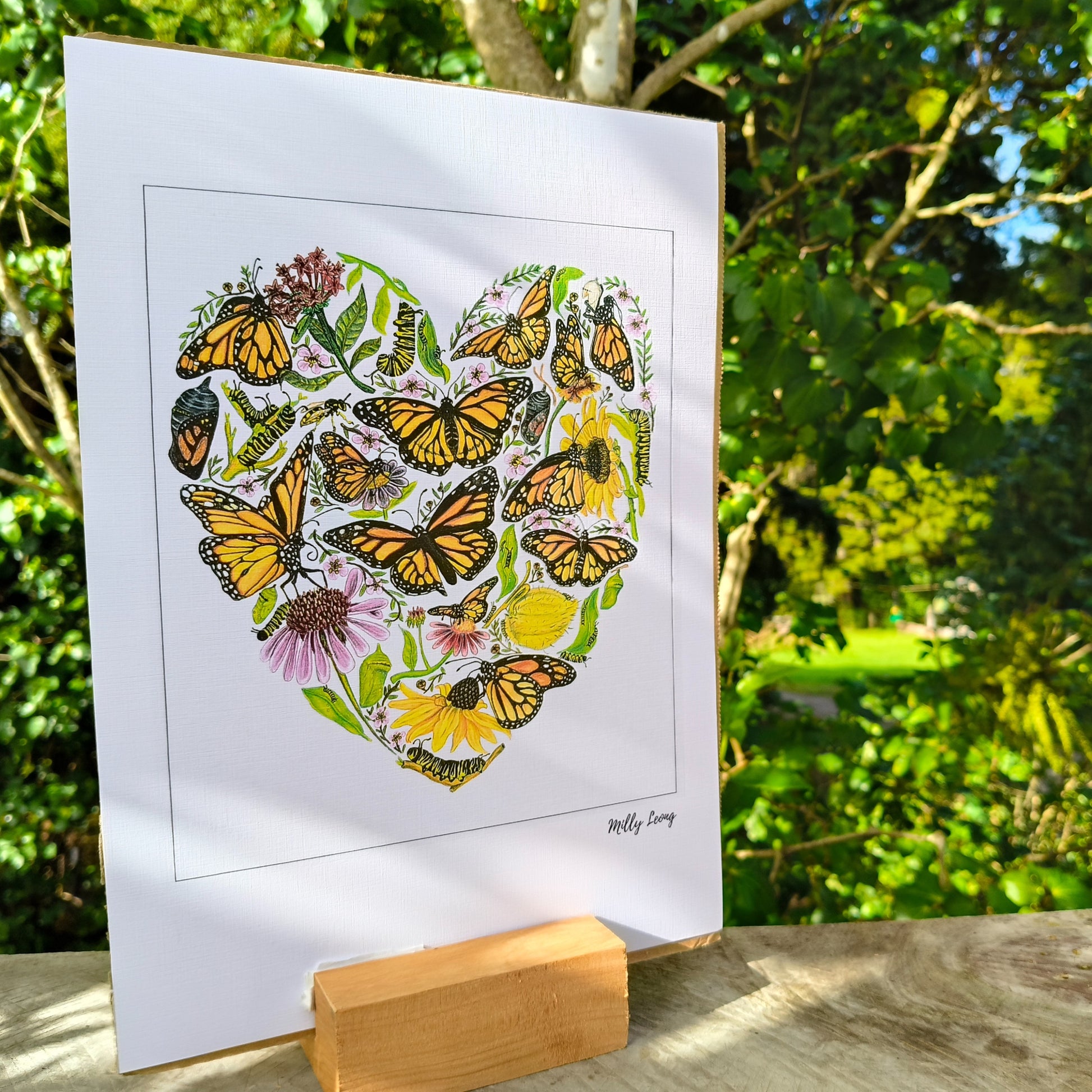 Hand-drawn butterfly art print by Milly – available in A4 and A3