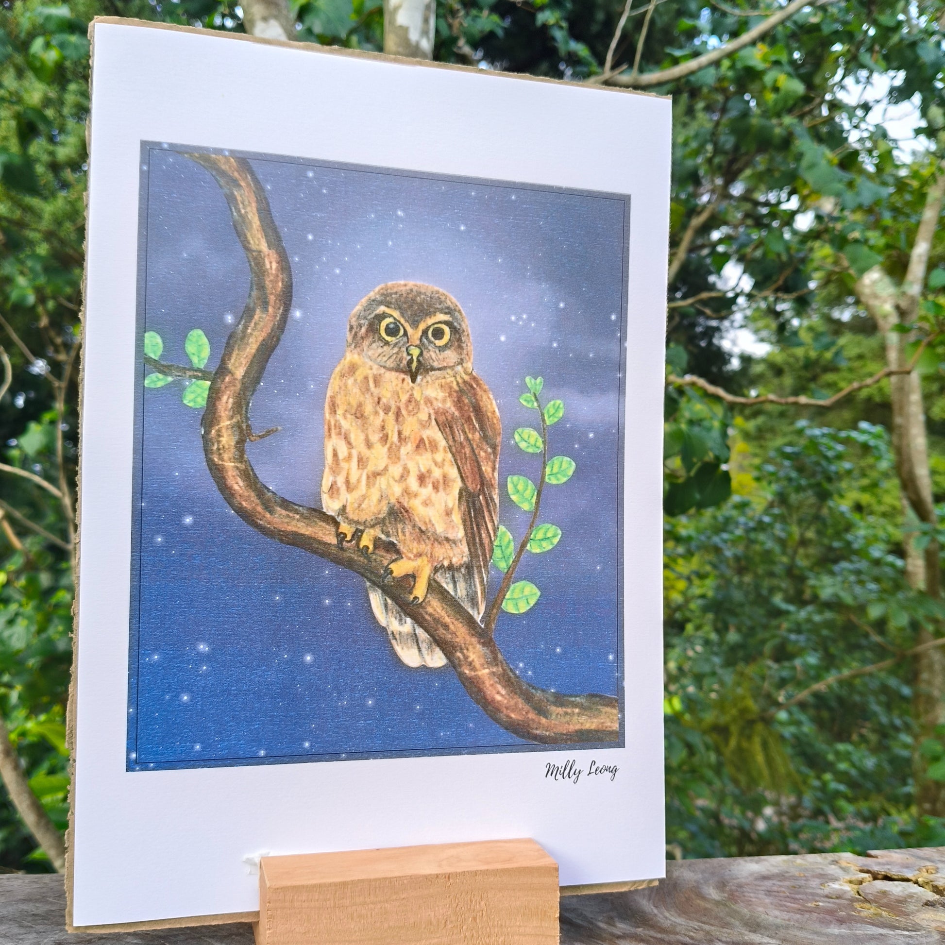 Hand-drawn NZ bird art print by Milly – featuring a Morepork