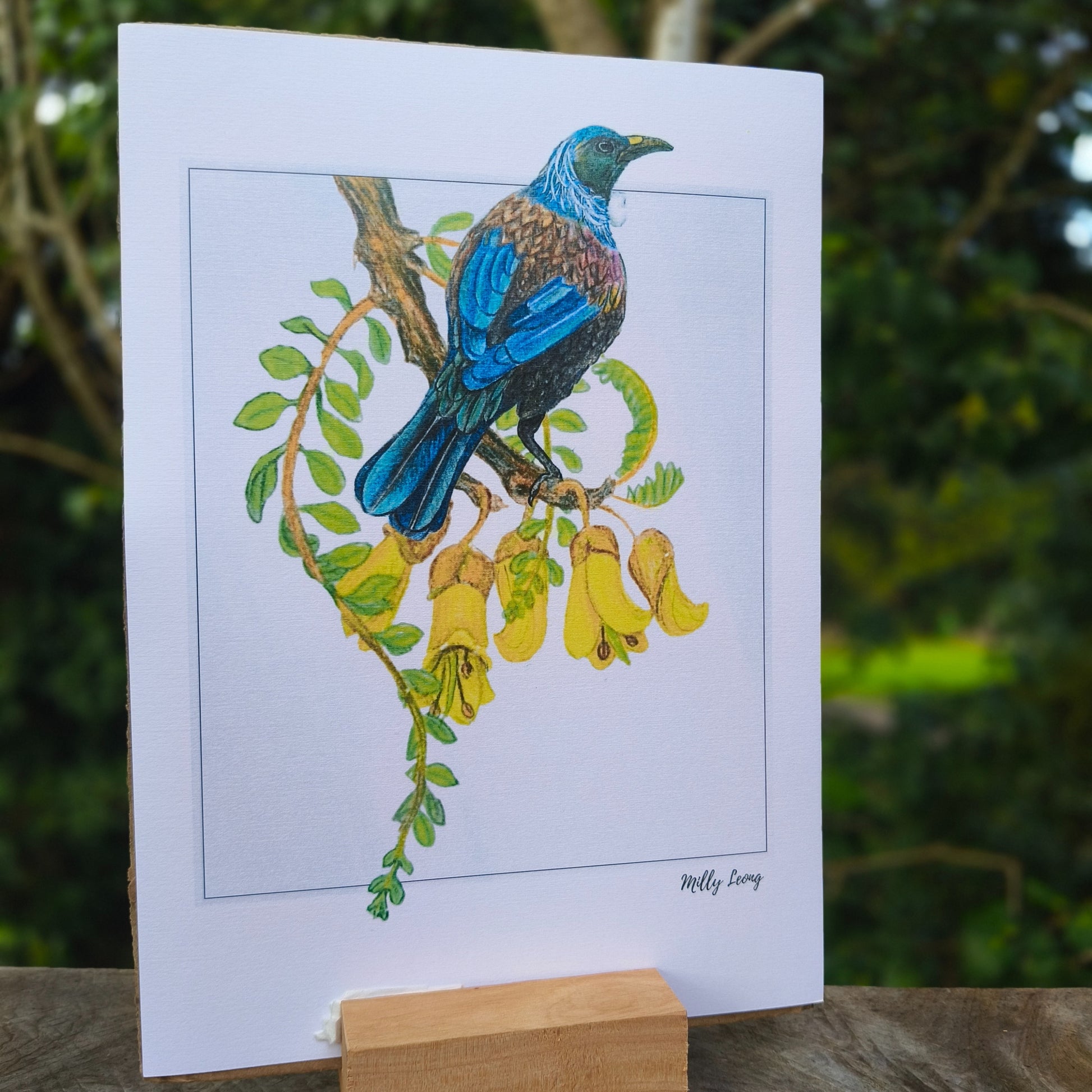 NZ native plant art print by Milly – hand-drawn in Aotearoa