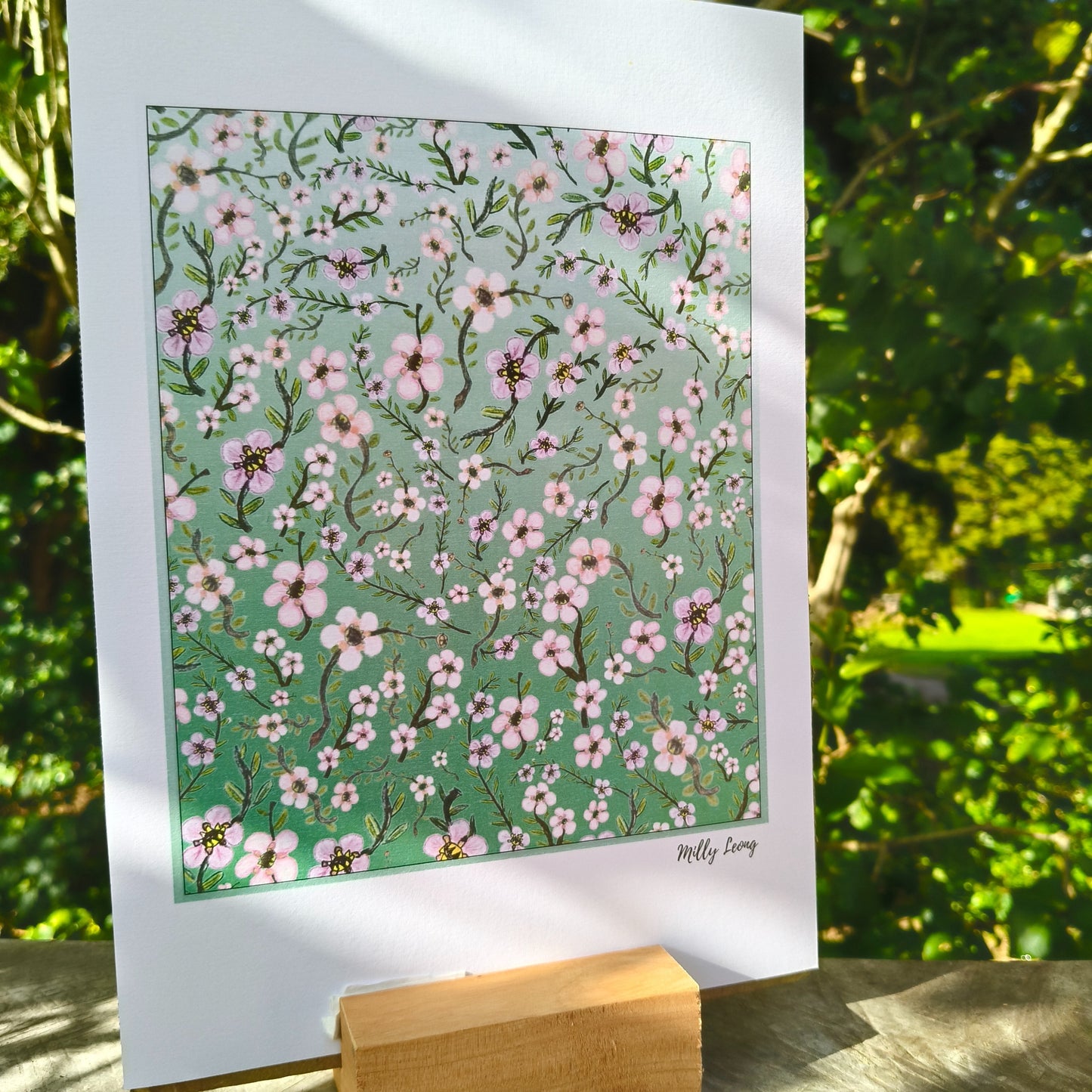 Hand-drawn image of New Zealand manuka flower by Milly avaiable in A4, A3, A2.