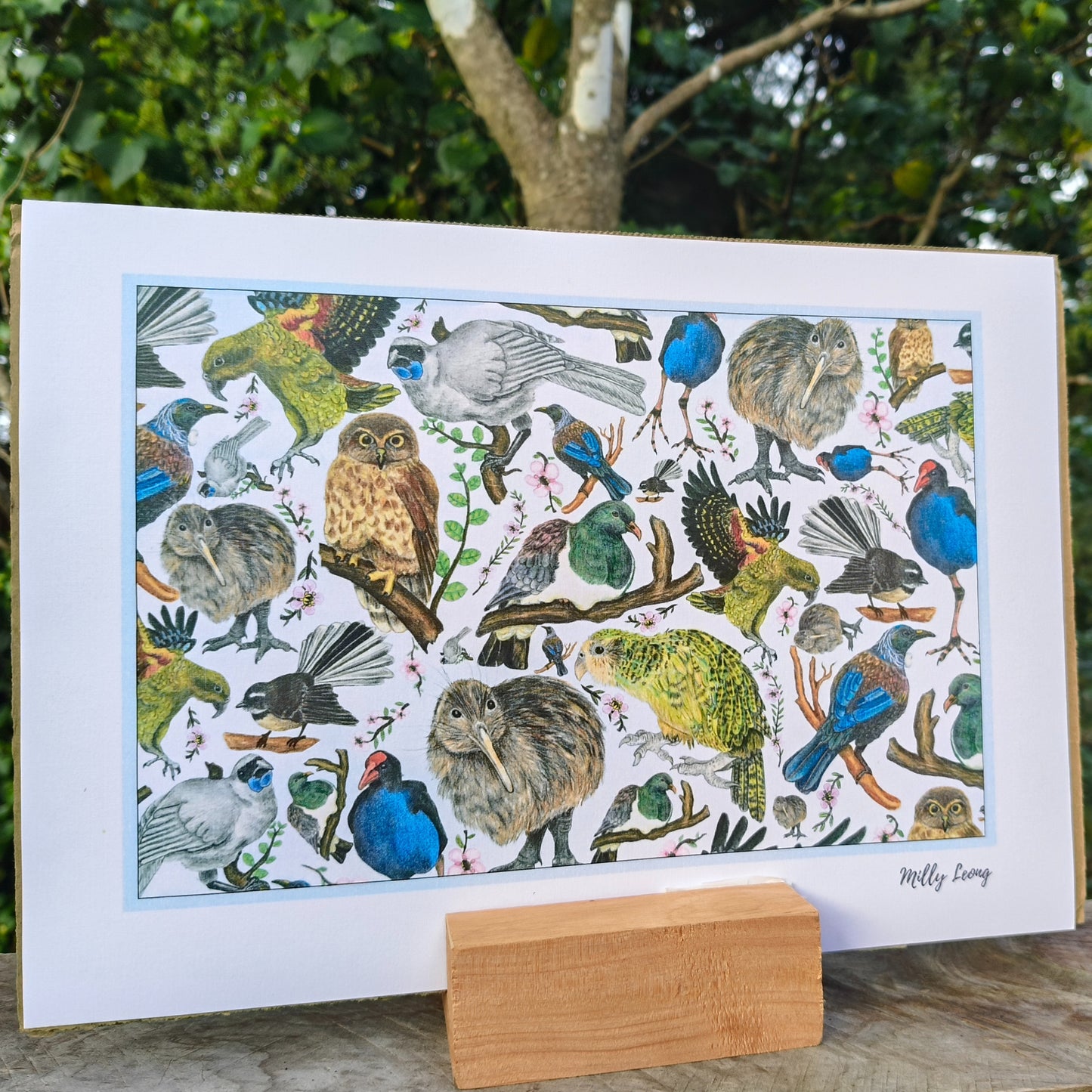 Hand-drawn NZ bird art print by Milly – featuring a Kiwi / Morepork / native bird heart