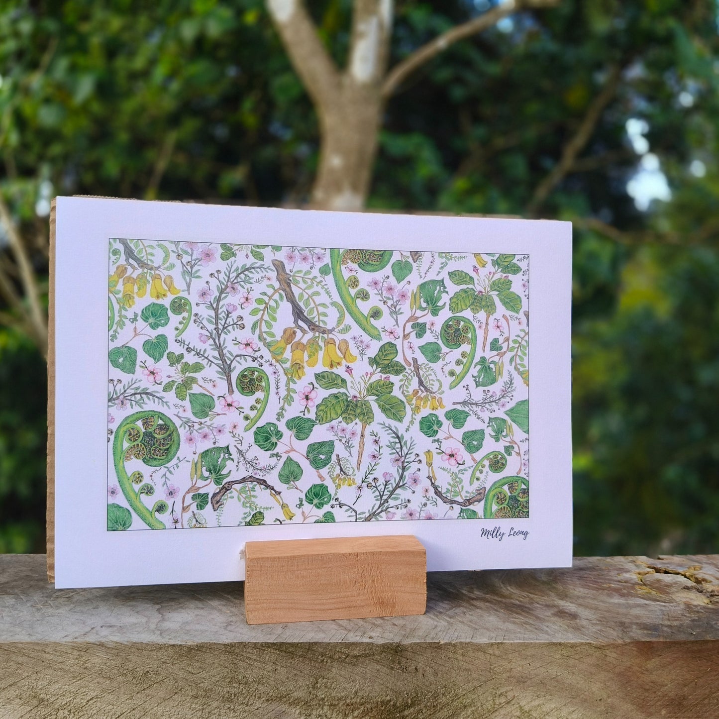 NZ native plant art print by Milly – hand-drawn in Aotearoa