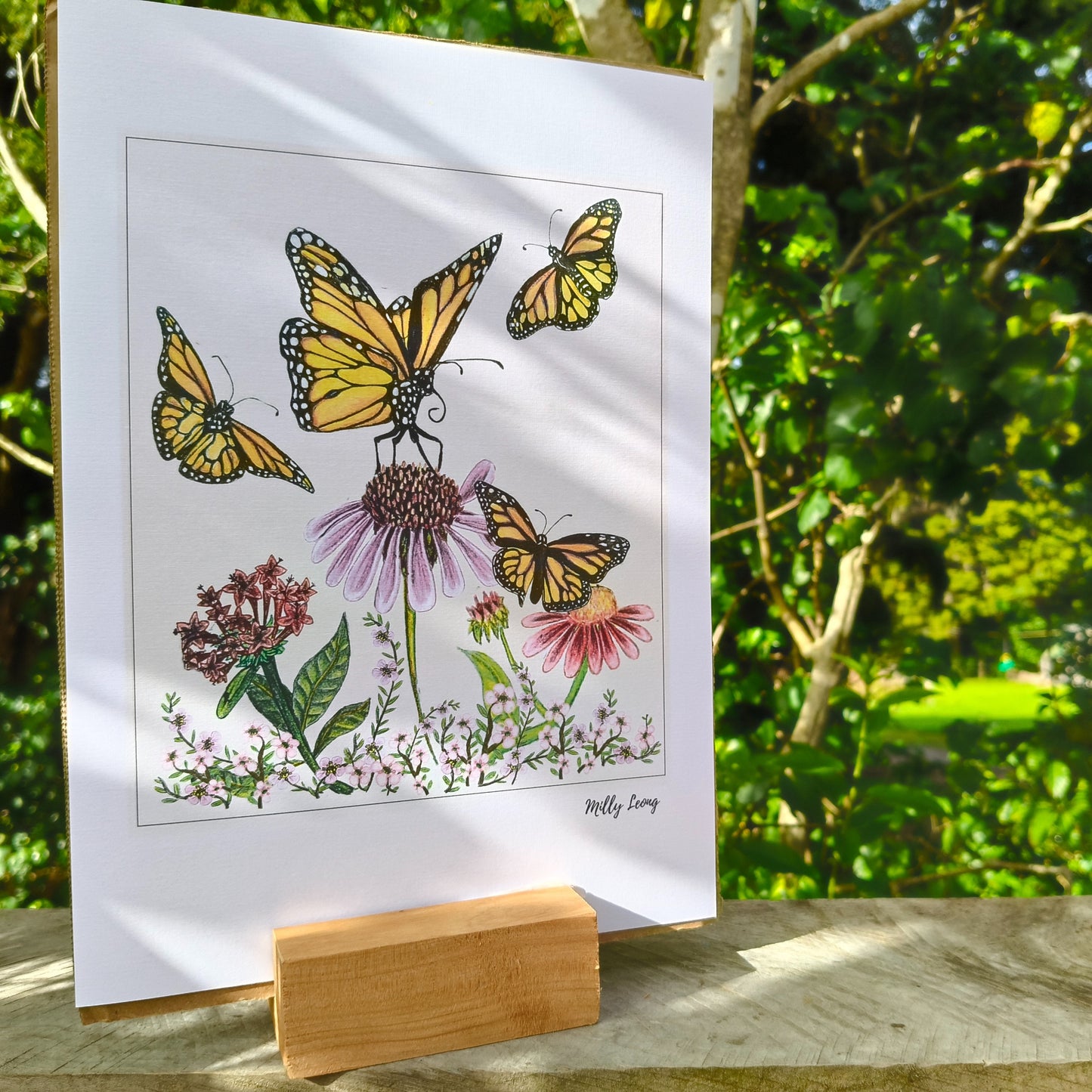 Hand-drawn butterfly art print by Milly – available in A4 and A3