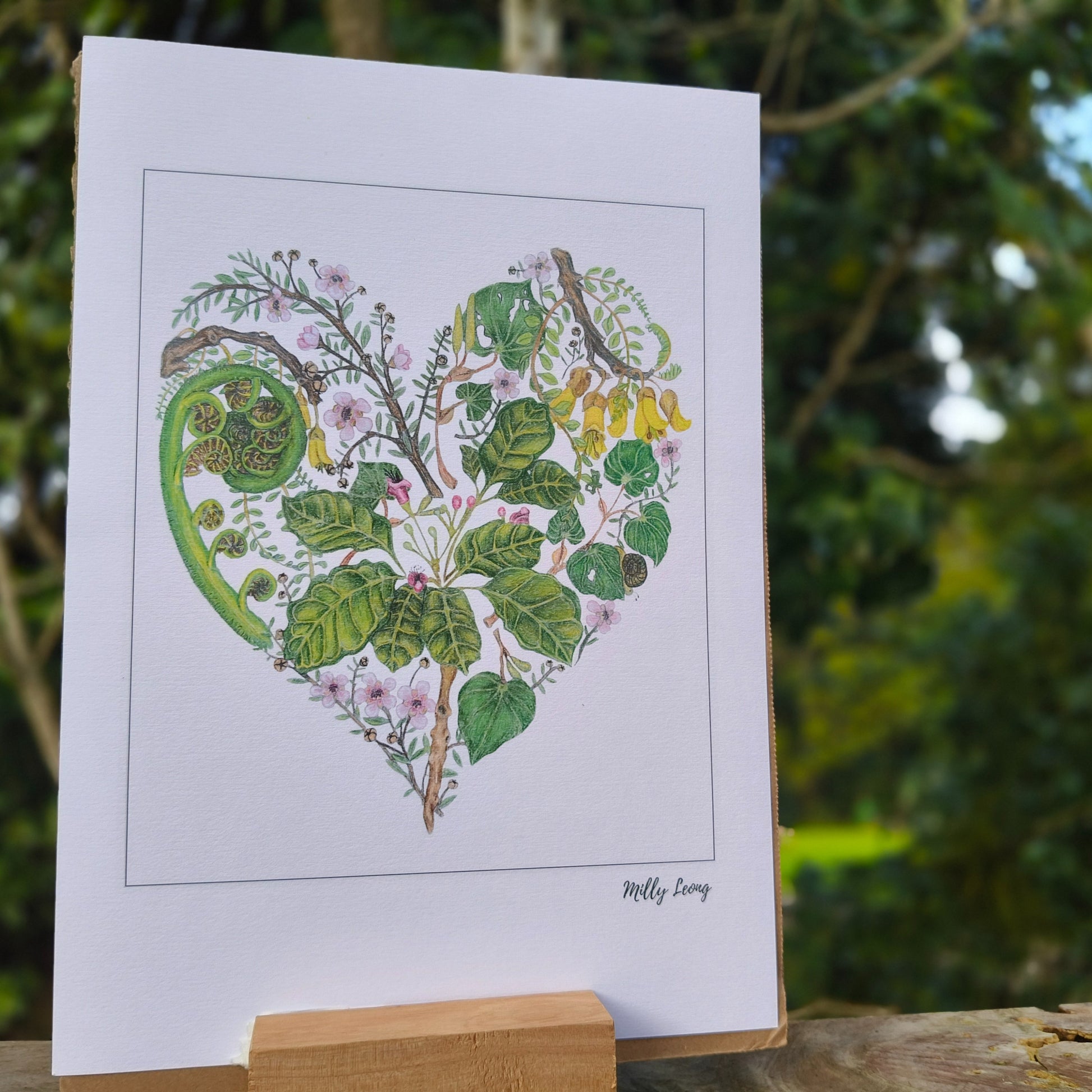 NZ native plant art print by Milly – hand-drawn in Aotearoa