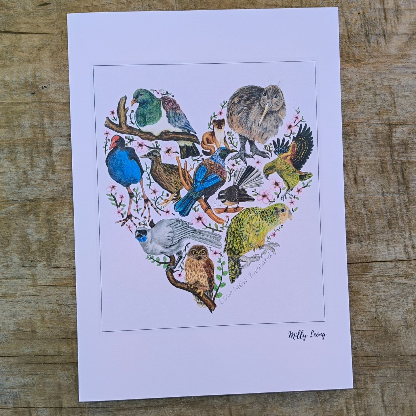 Hand-drawn NZ bird art print by Milly – featuring a Kiwi / Morepork / native bird heart