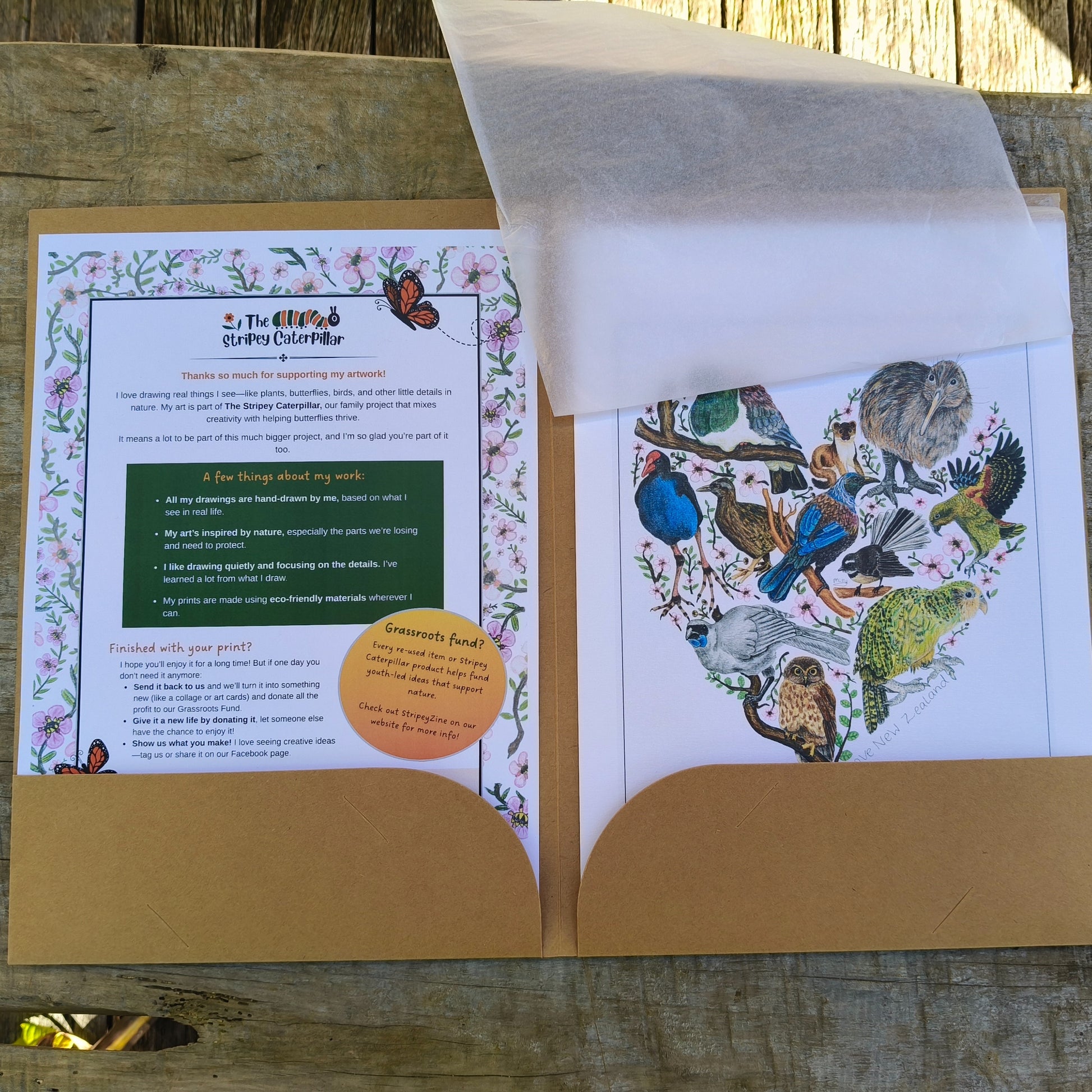 Hand-drawn NZ bird art print by Milly – featuring a Kiwi / Morepork / native bird heart