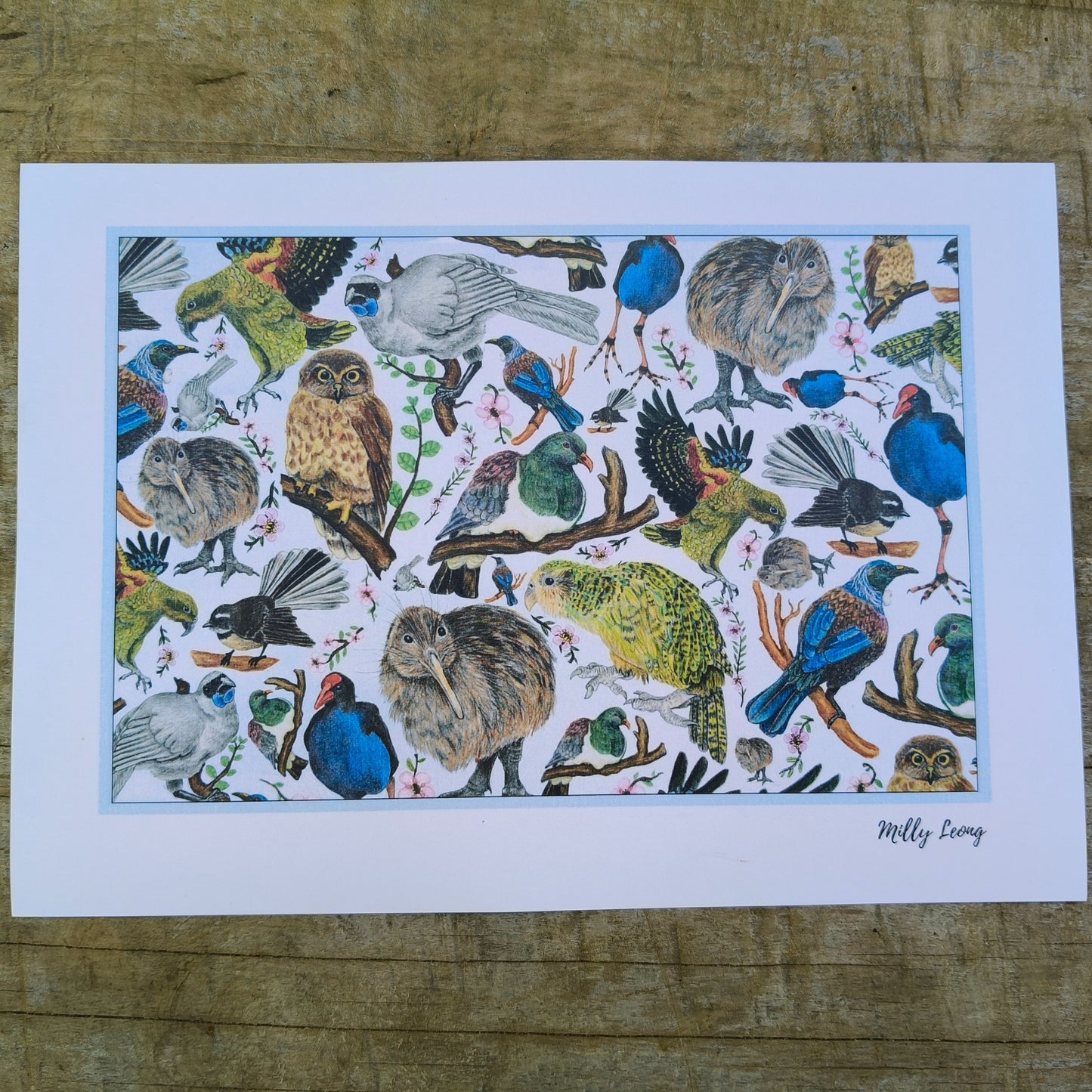 Hand-drawn NZ bird art print by Milly – featuring a Kiwi / Morepork / native bird heart