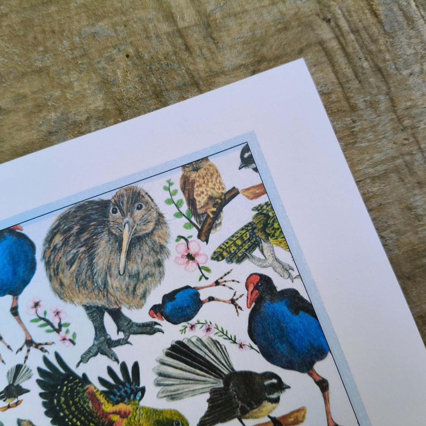 Hand-drawn NZ bird art print by Milly – featuring a Kiwi / Morepork / native bird heart