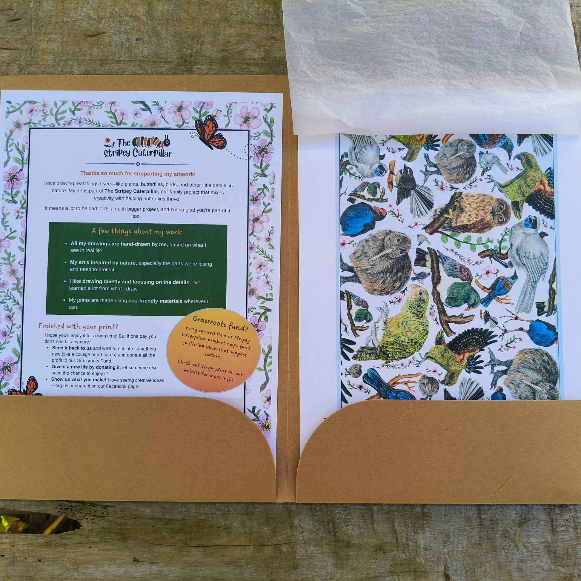 Hand-drawn NZ bird art print by Milly – featuring a Kiwi / Morepork / native bird heart