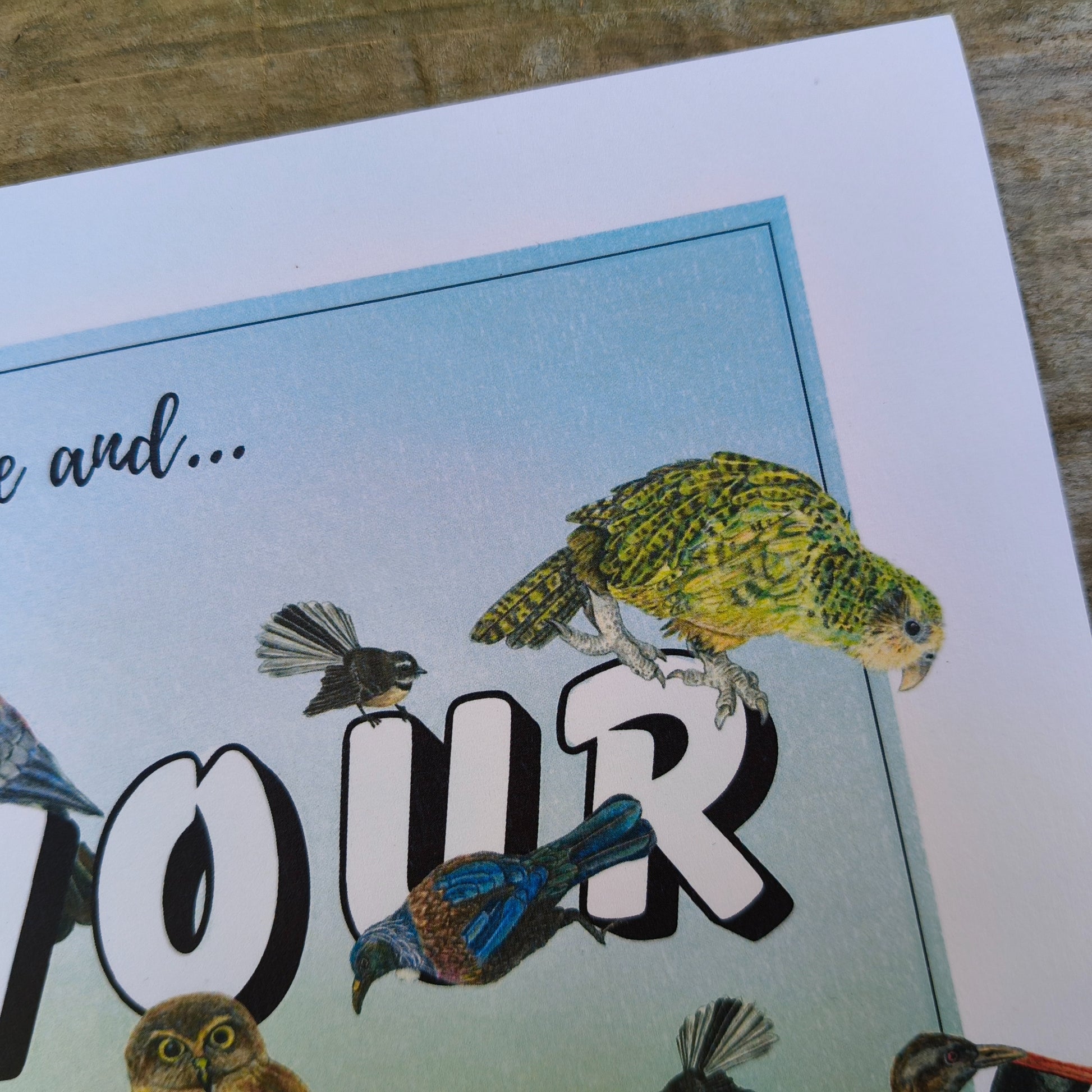 Hand-drawn NZ bird art print by Milly – featuring a Kiwi / Morepork / native bird heart