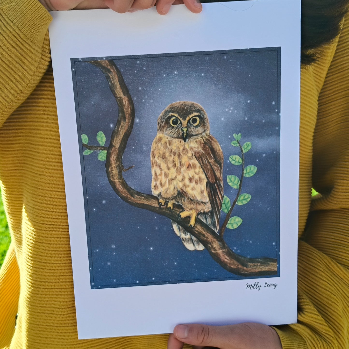 Hand-drawn NZ bird art print by Milly – featuring a Morepork