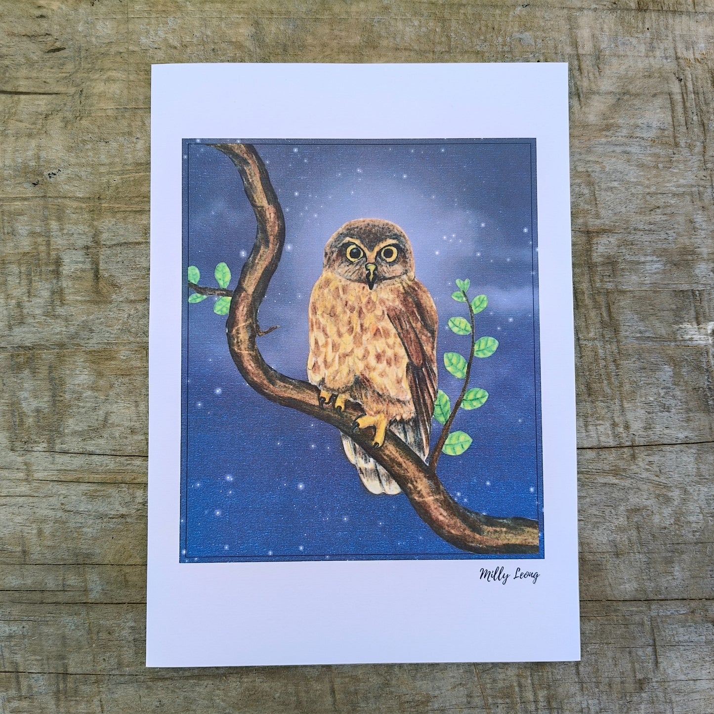 Hand-drawn NZ bird art print by Milly – featuring a Morepork