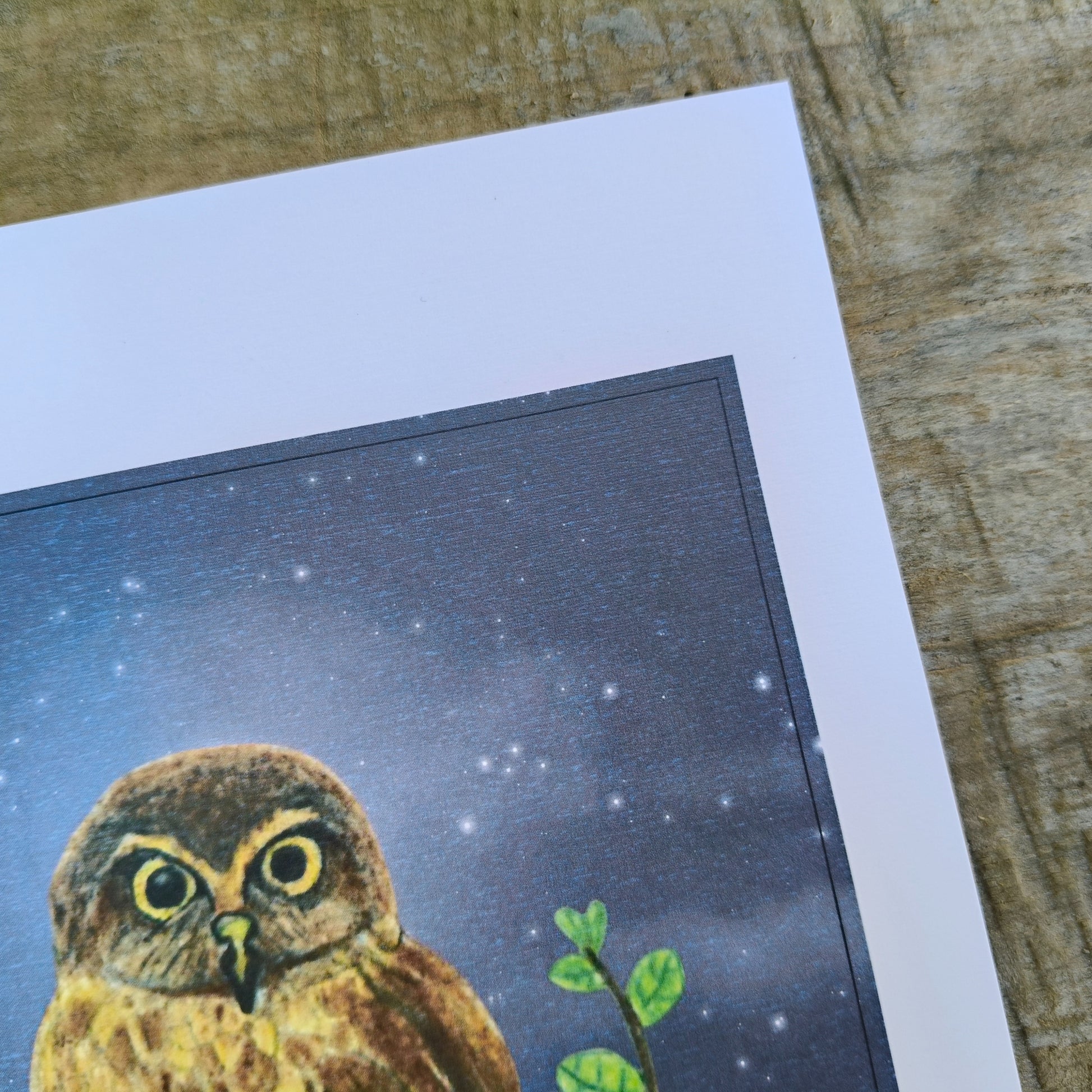 Hand-drawn NZ bird art print by Milly – featuring a Morepork