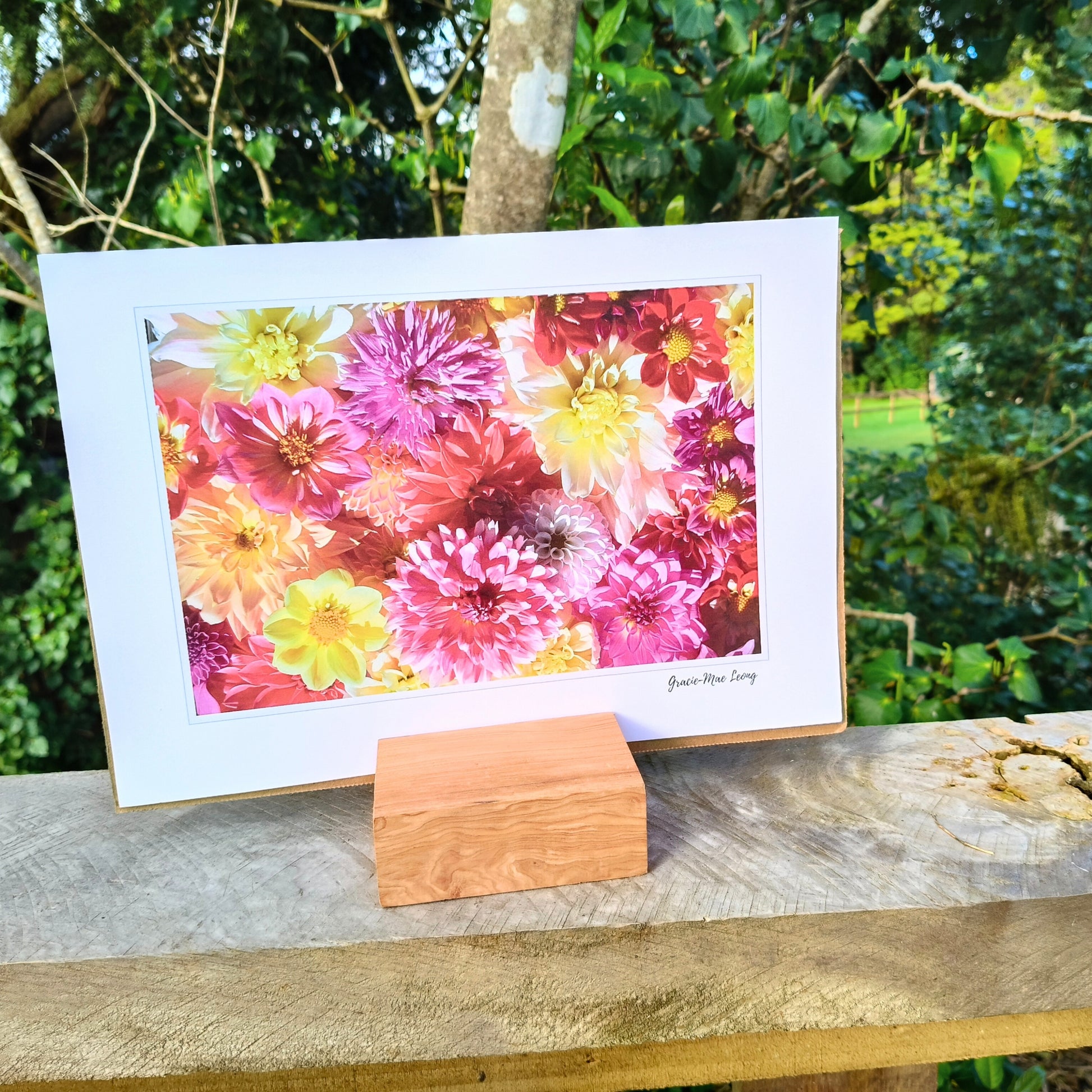 All the Bright Dahlias photo by Gracie-Mae Photography.