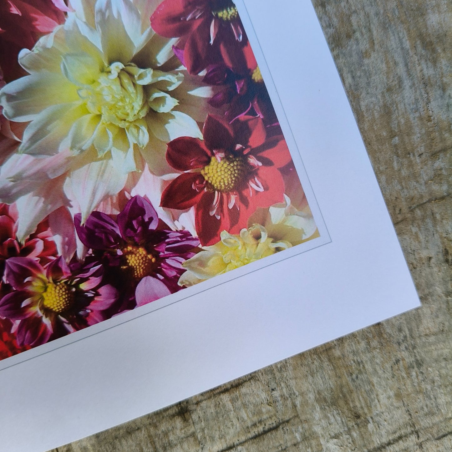 All the Bright Dahlias photo by Gracie-Mae Photography.