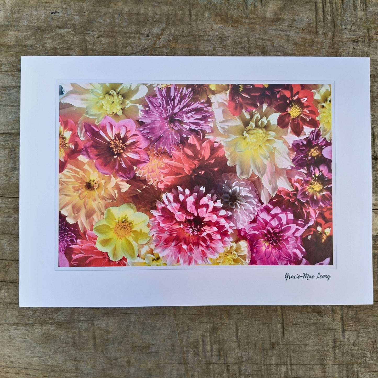 All the Bright Dahlias photo by Gracie-Mae Photography.