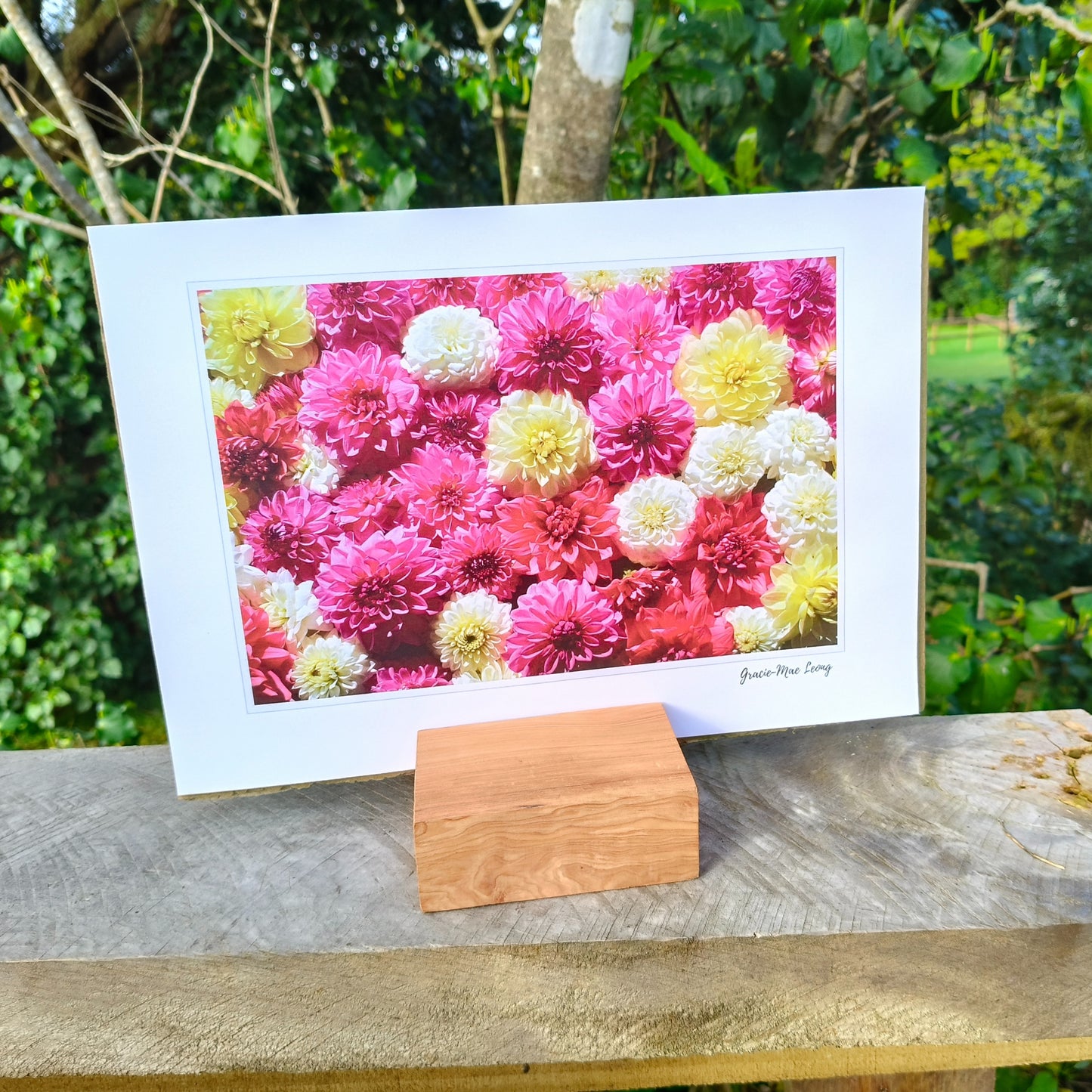 Soft Pink Dahlia flatlay photography by Gracie-Mae Photography.
